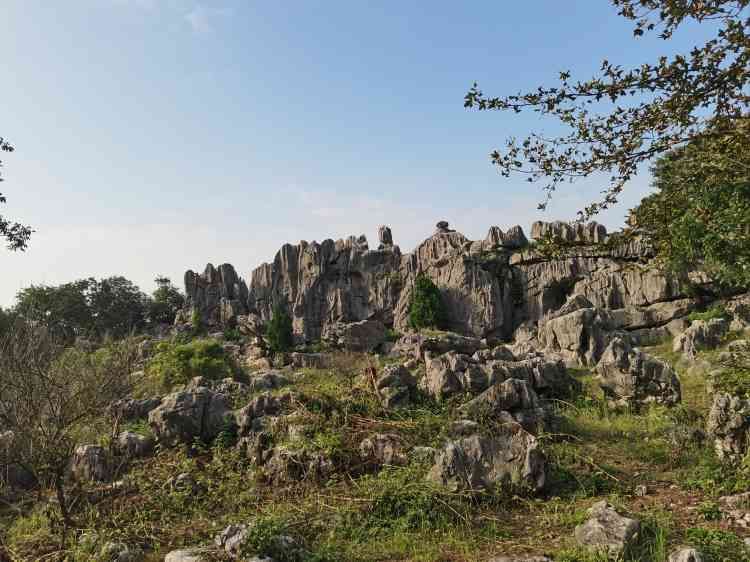 怪石林旅行图片 3