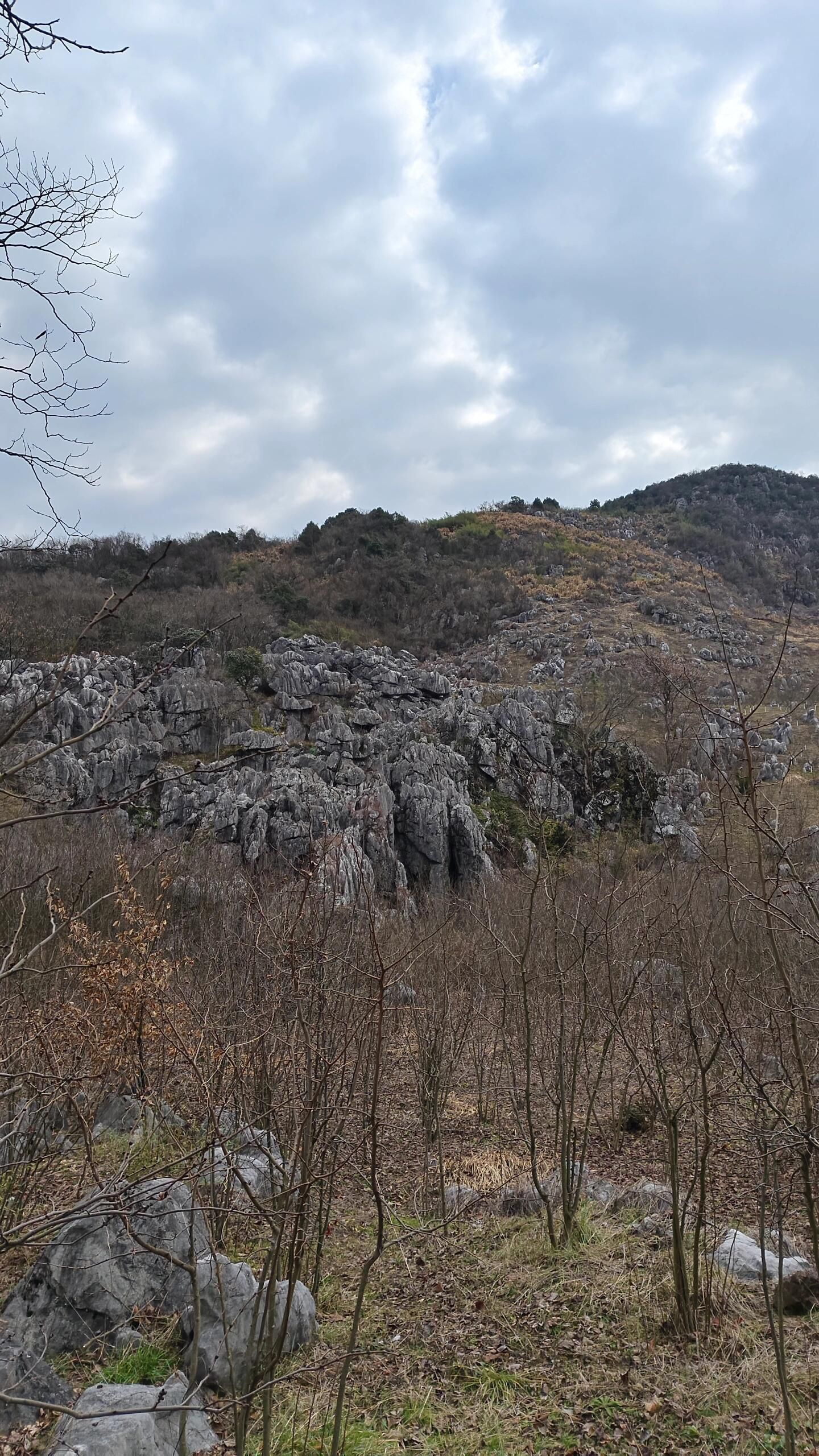怪石林旅行图片 1
