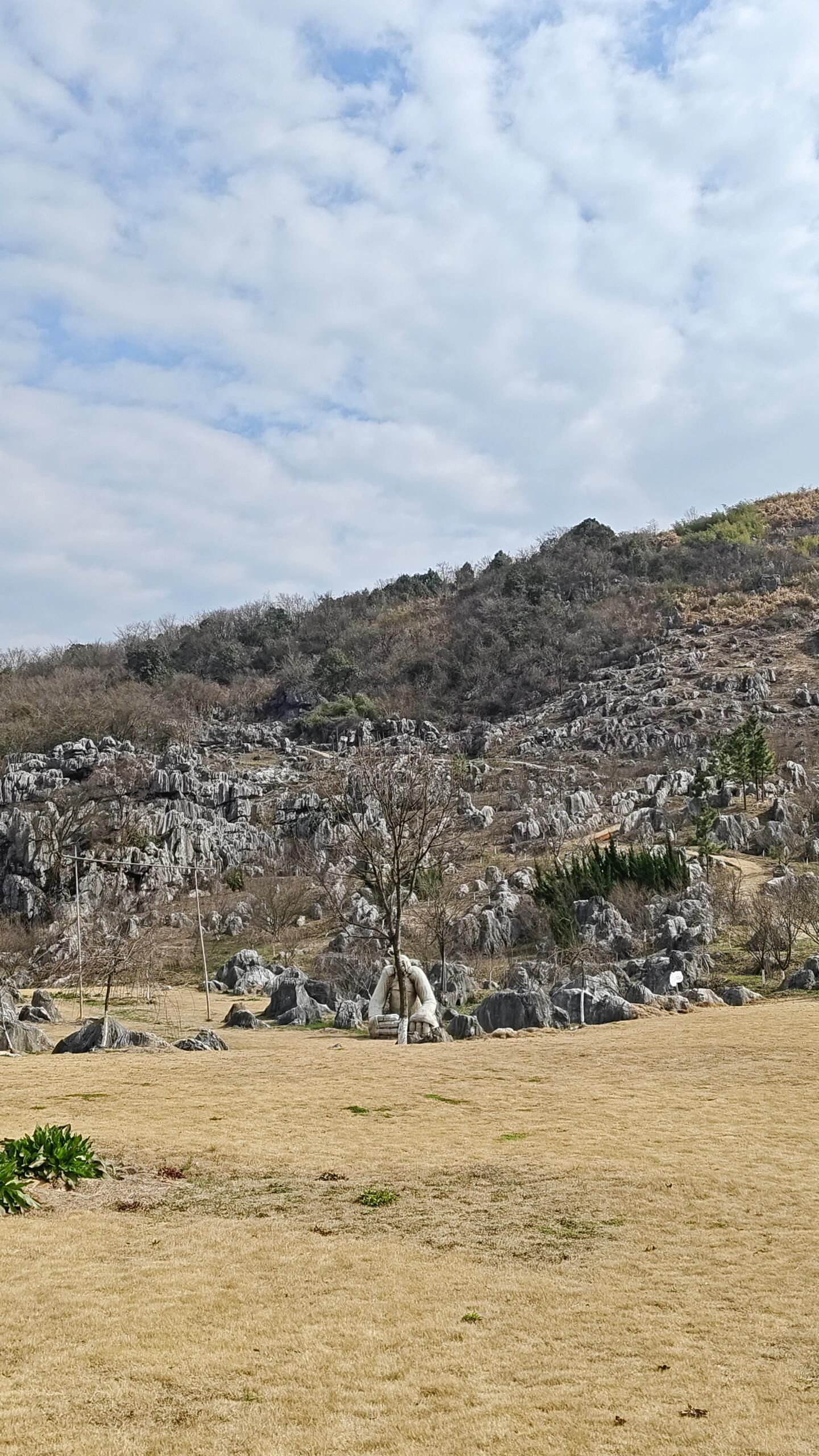 怪石林旅行图片 2