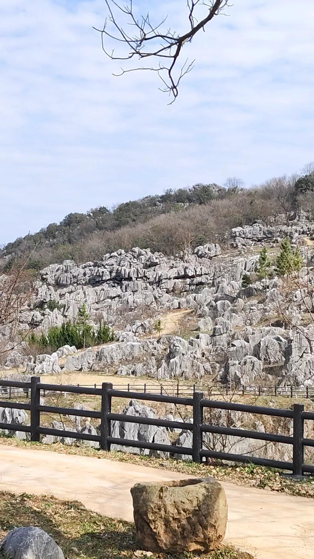 怪石林旅行图片 3