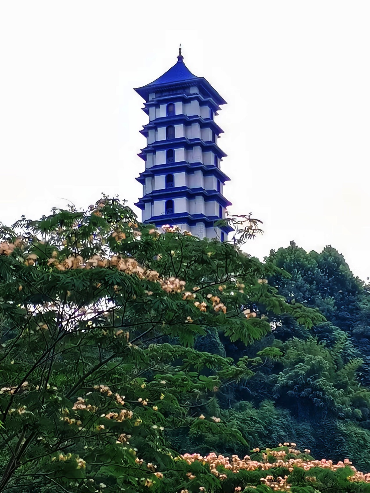 青花瓷塔旅行图片 1