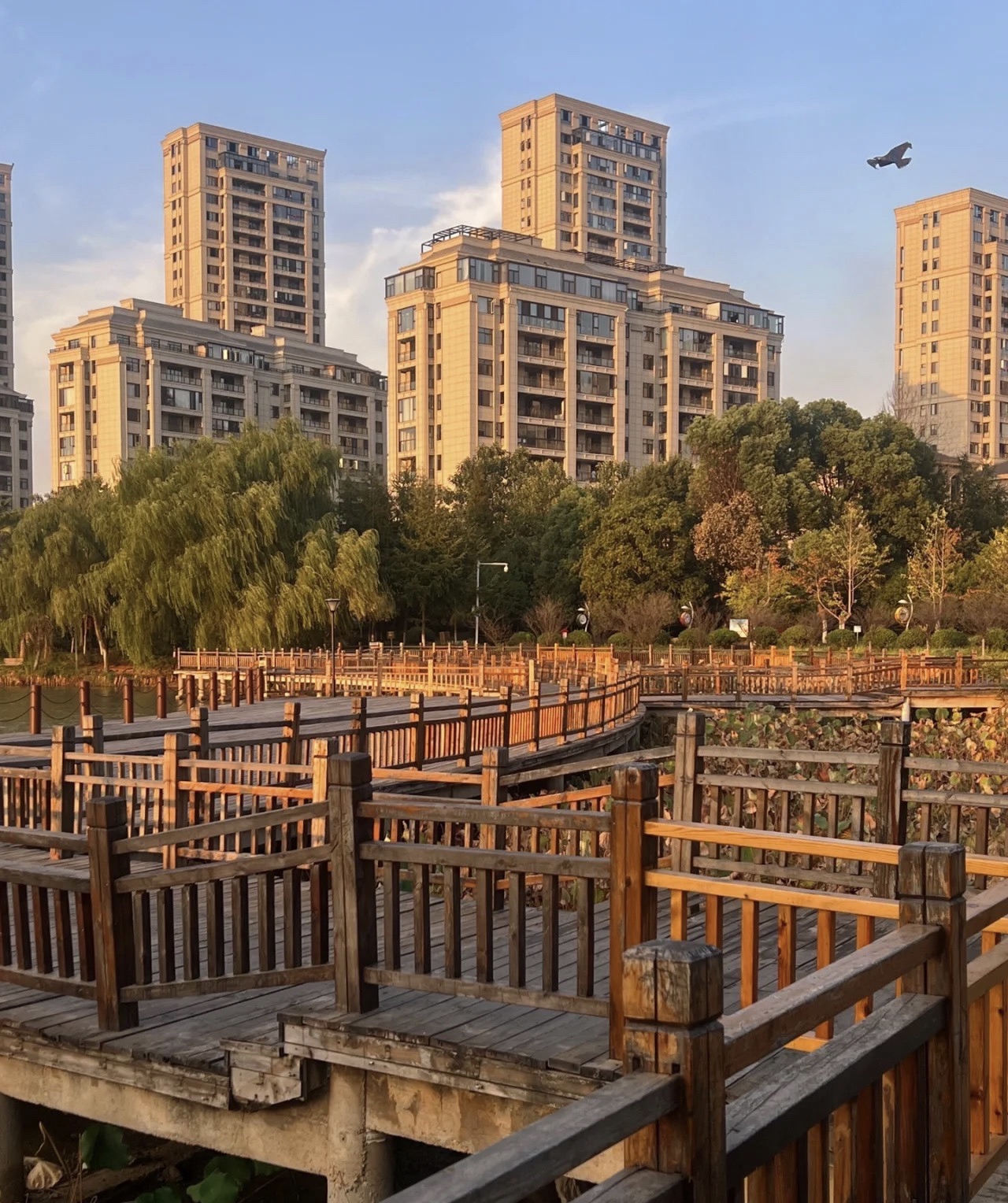 洪皓森林公园旅行图片 2