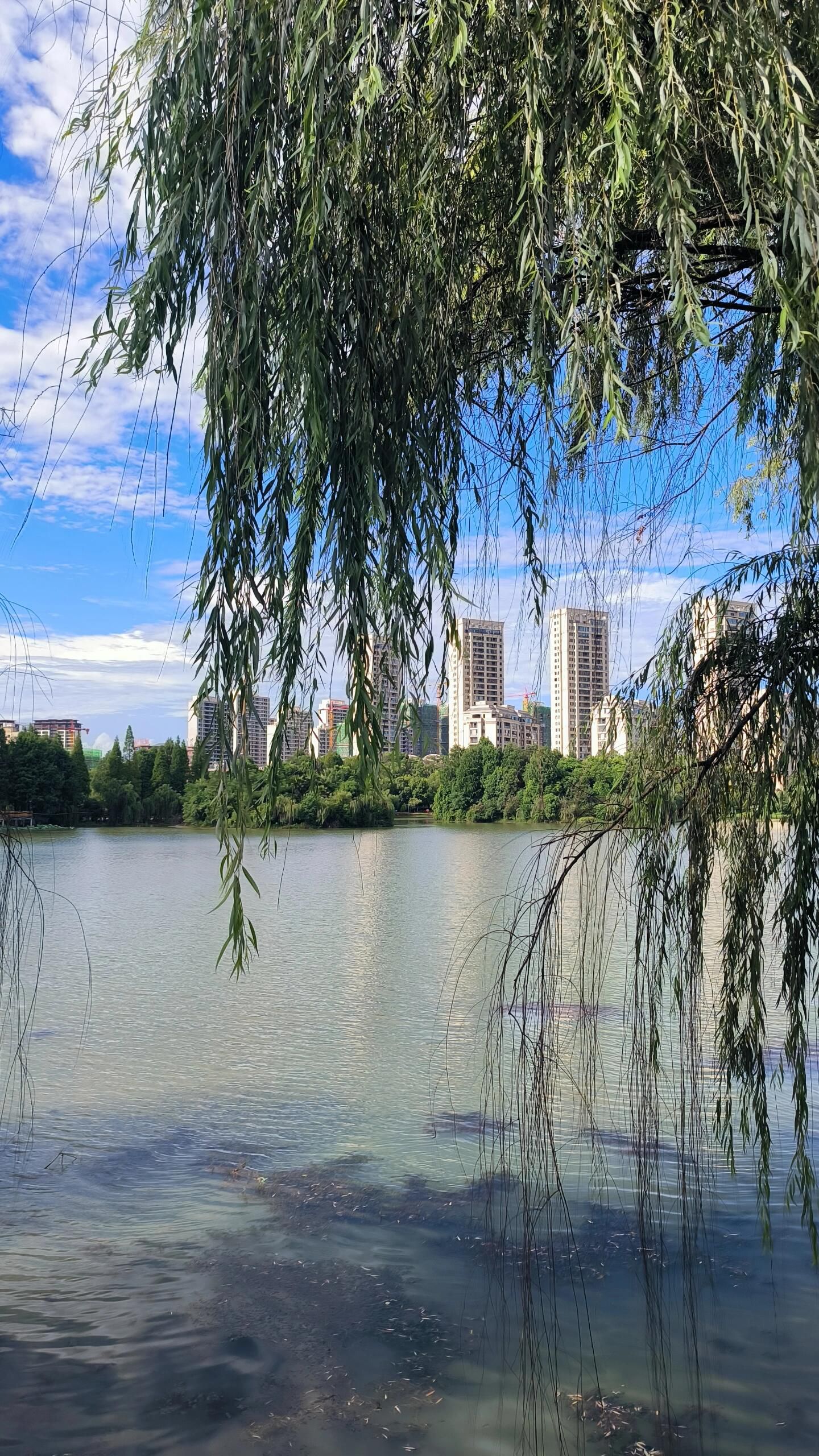 洪皓森林公园旅行图片 3