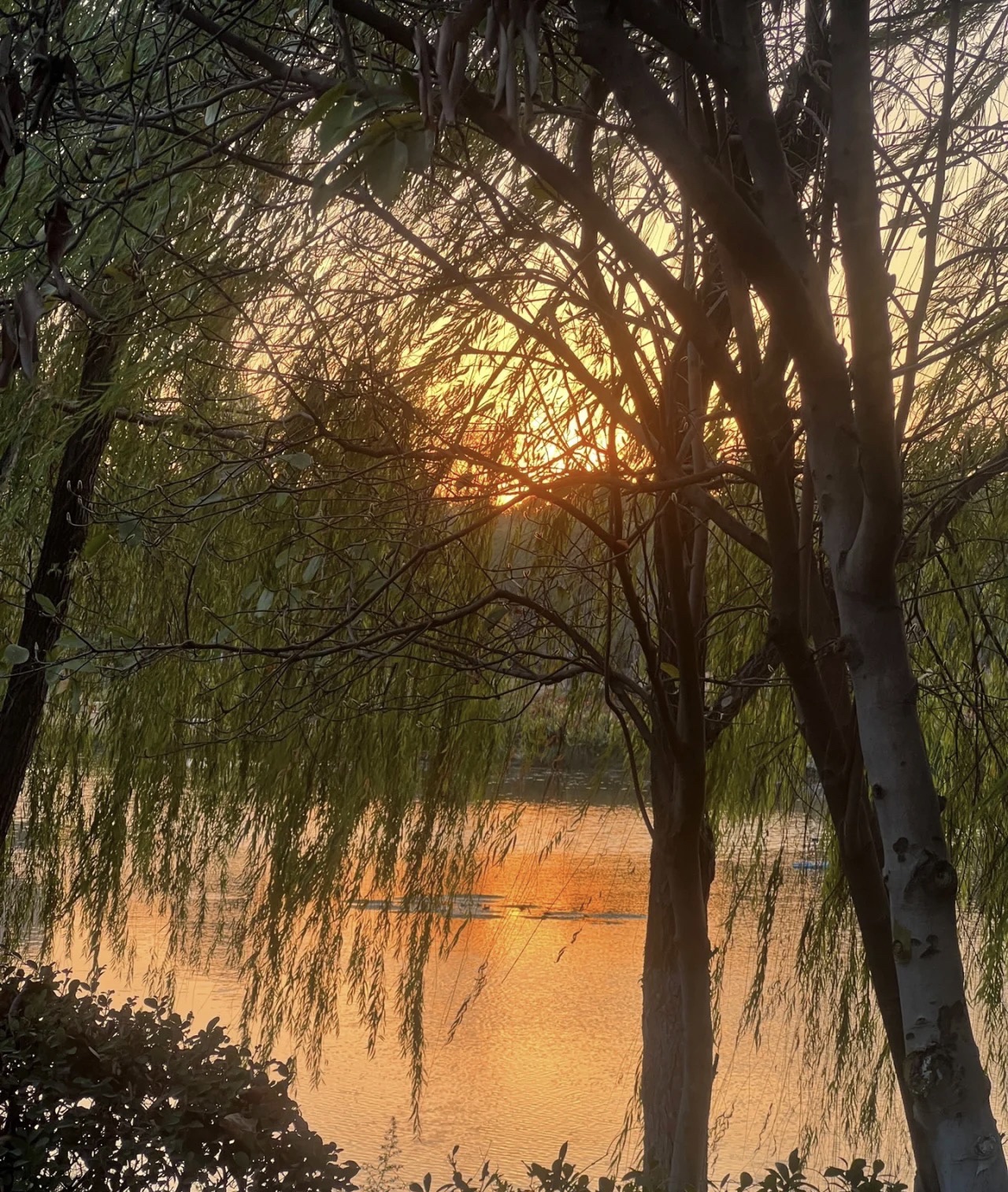 洪皓森林公园旅行图片 1
