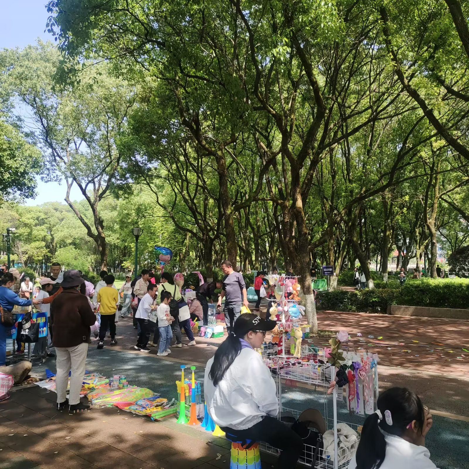 鹅湖(夕阳红)公园旅行图片 1
