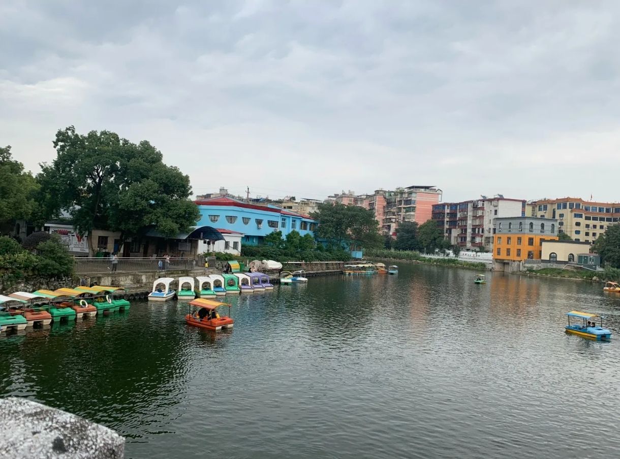 鹅湖(夕阳红)公园旅行图片 2