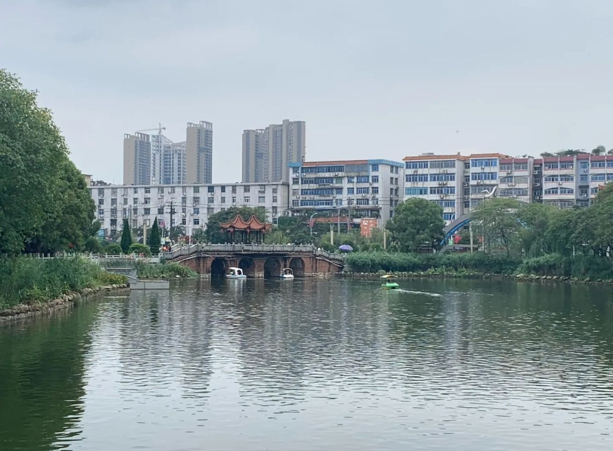 鹅湖(夕阳红)公园旅行图片 1