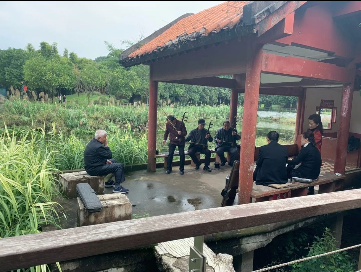 鹅湖(夕阳红)公园旅行图片 3