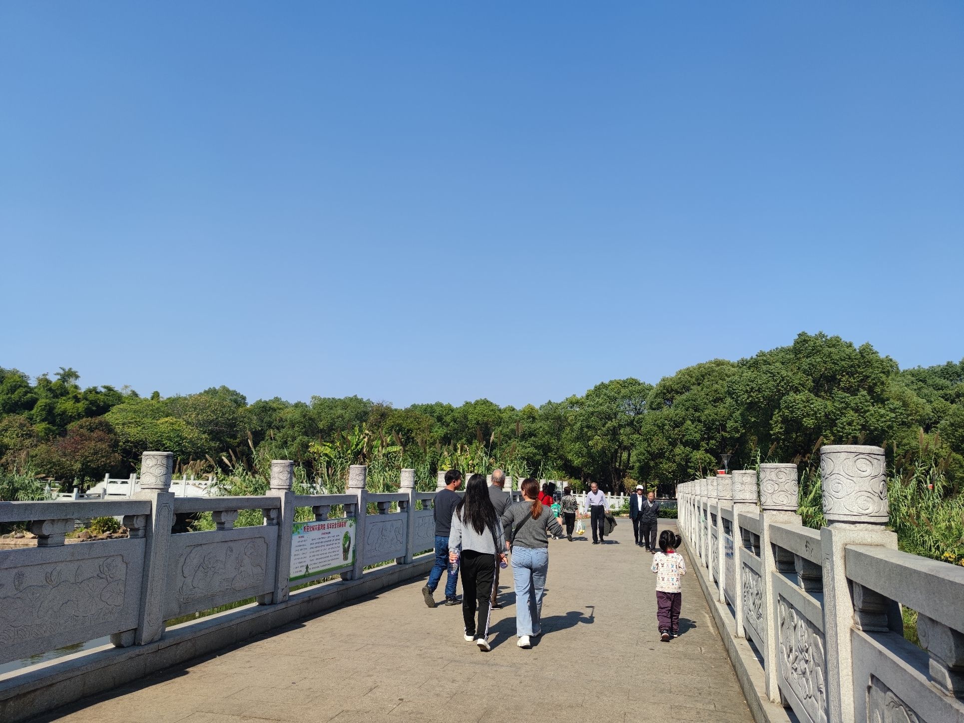 鹅湖(夕阳红)公园