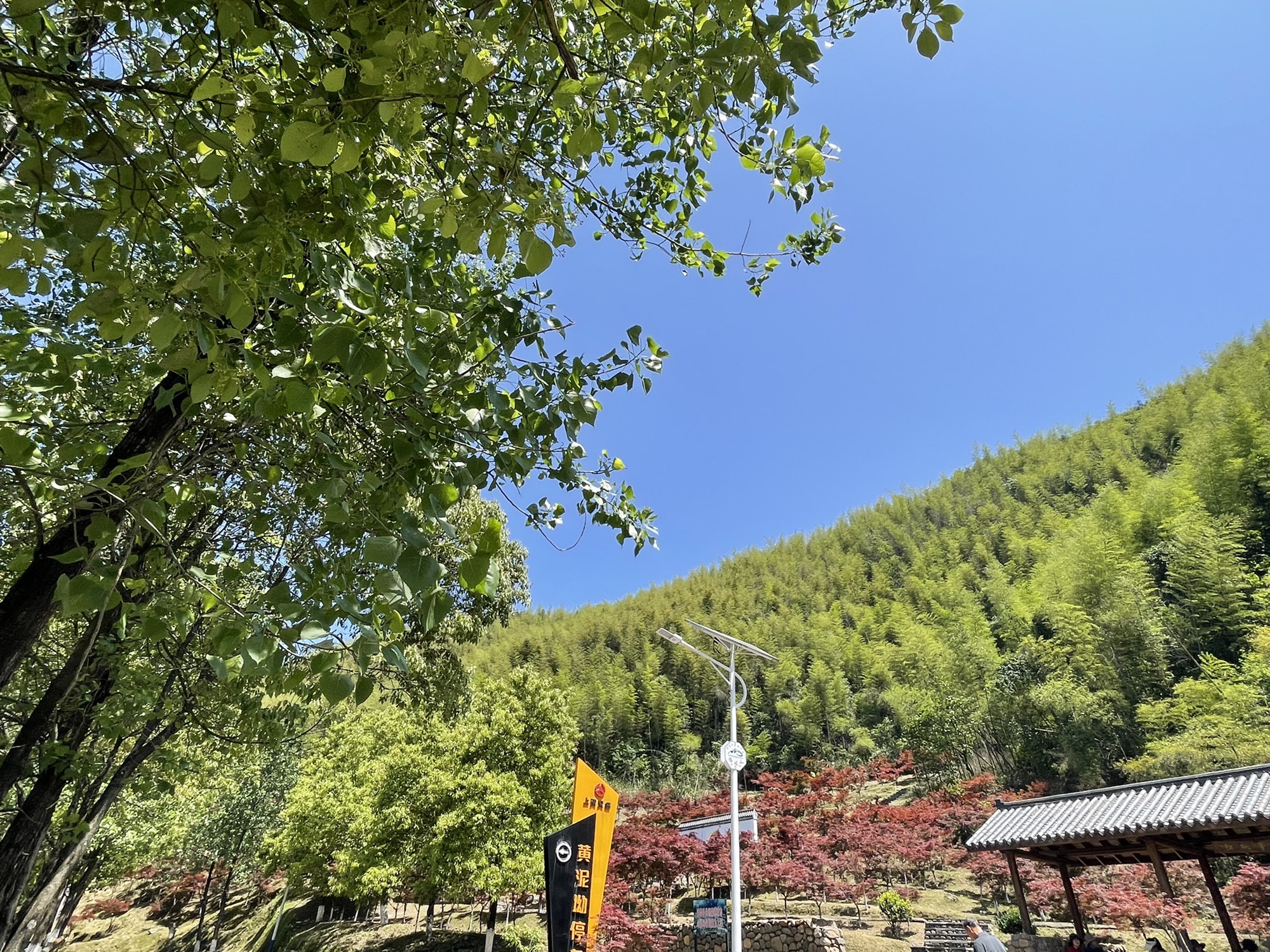 杨岐普通寺旅行图片 1