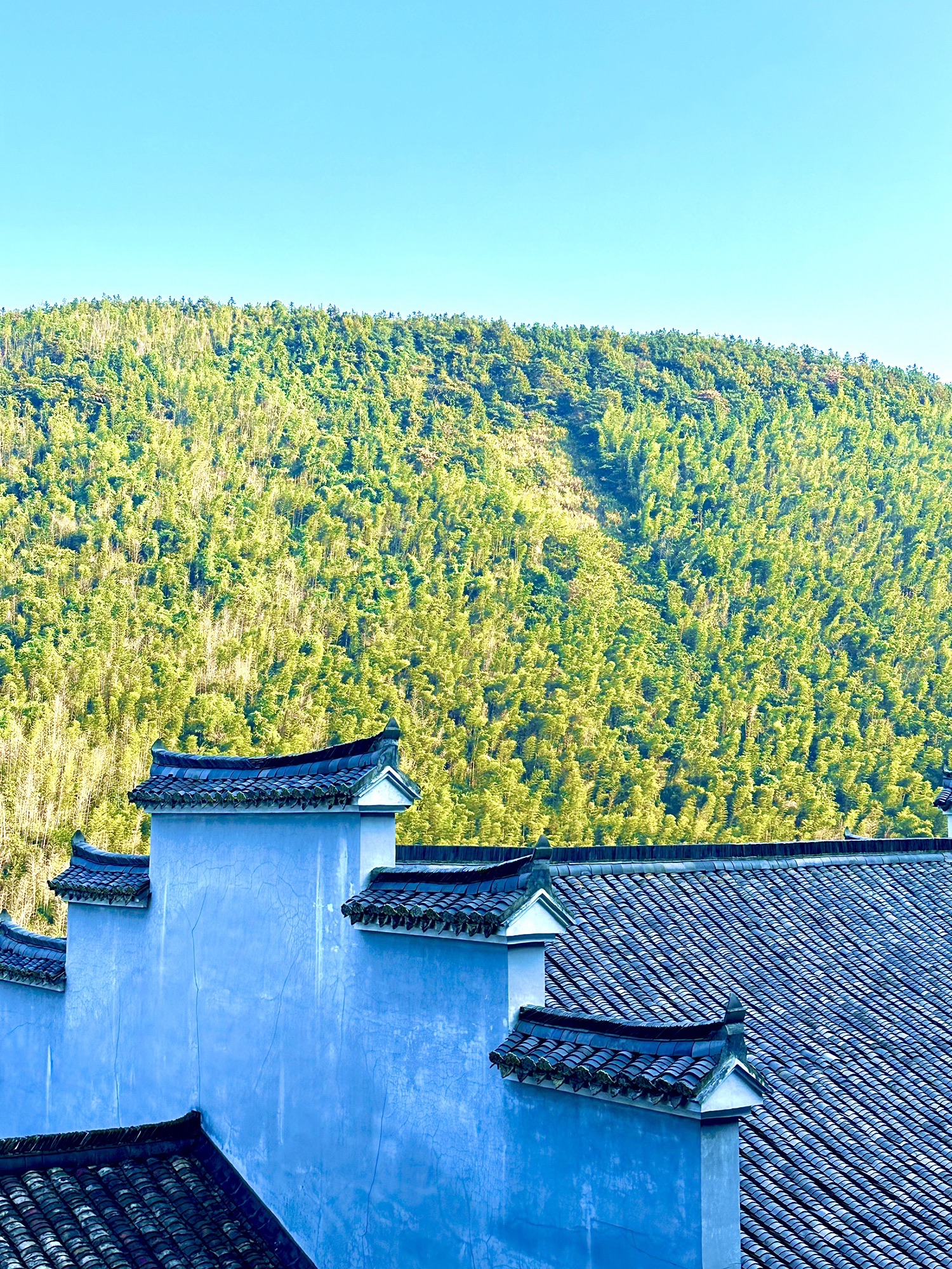 杨岐普通寺旅行图片 3