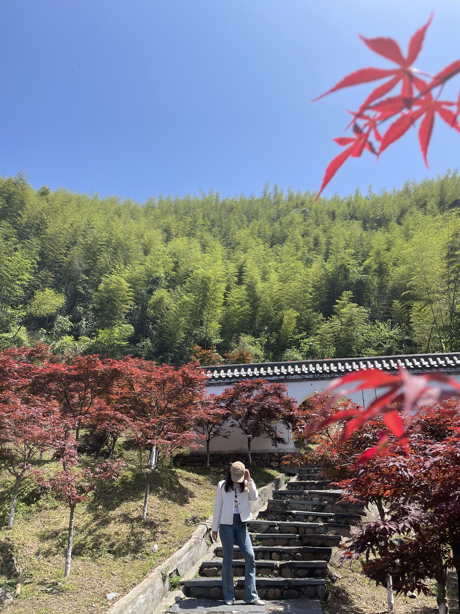 杨岐普通寺旅行图片 2