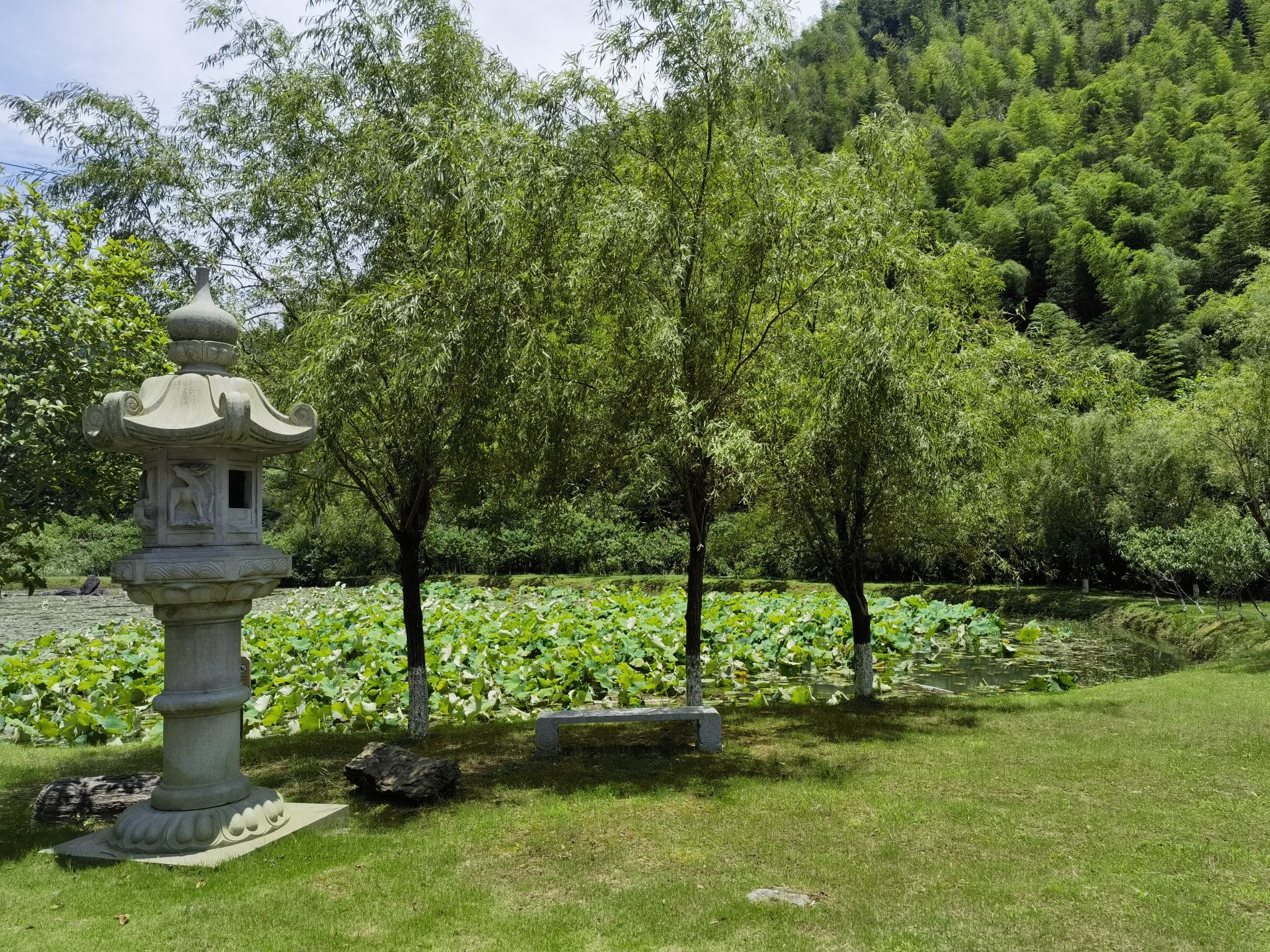 杨岐普通寺旅行图片 2