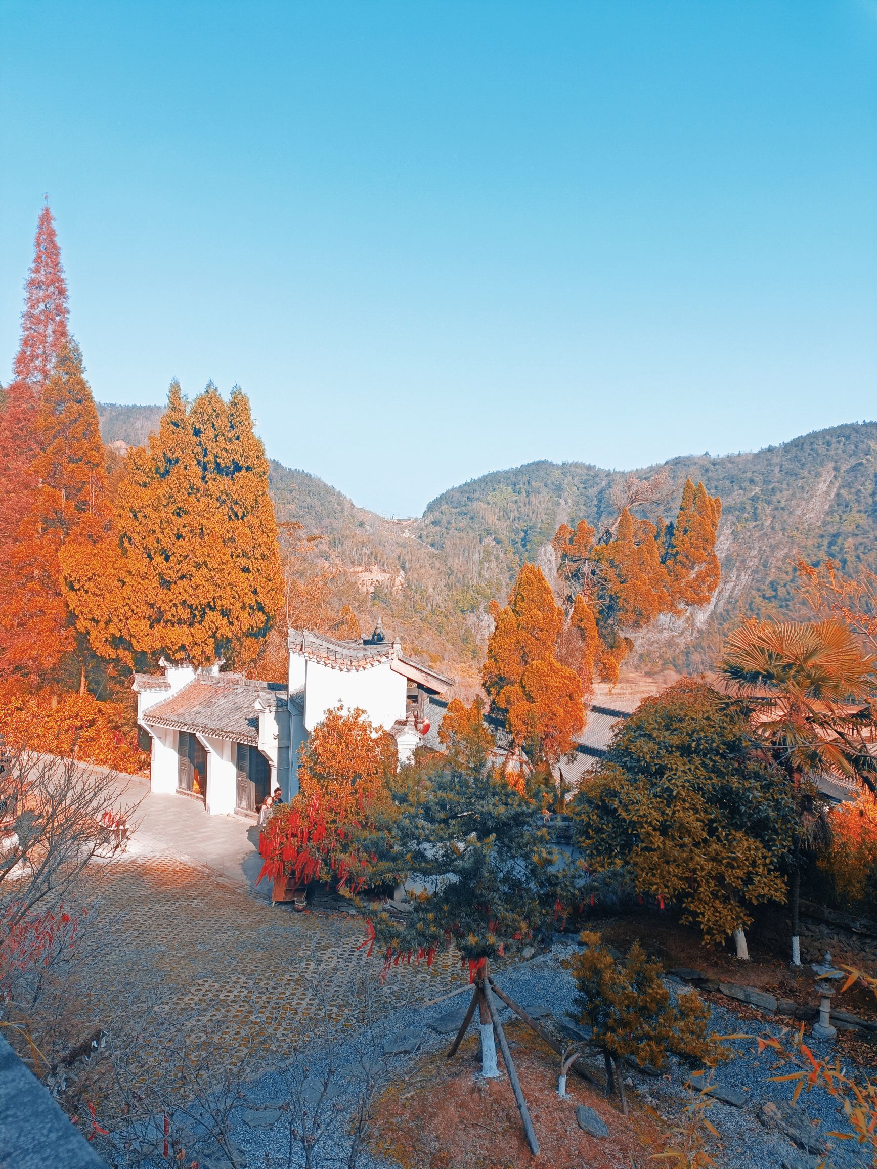 杨岐普通寺旅行图片 2