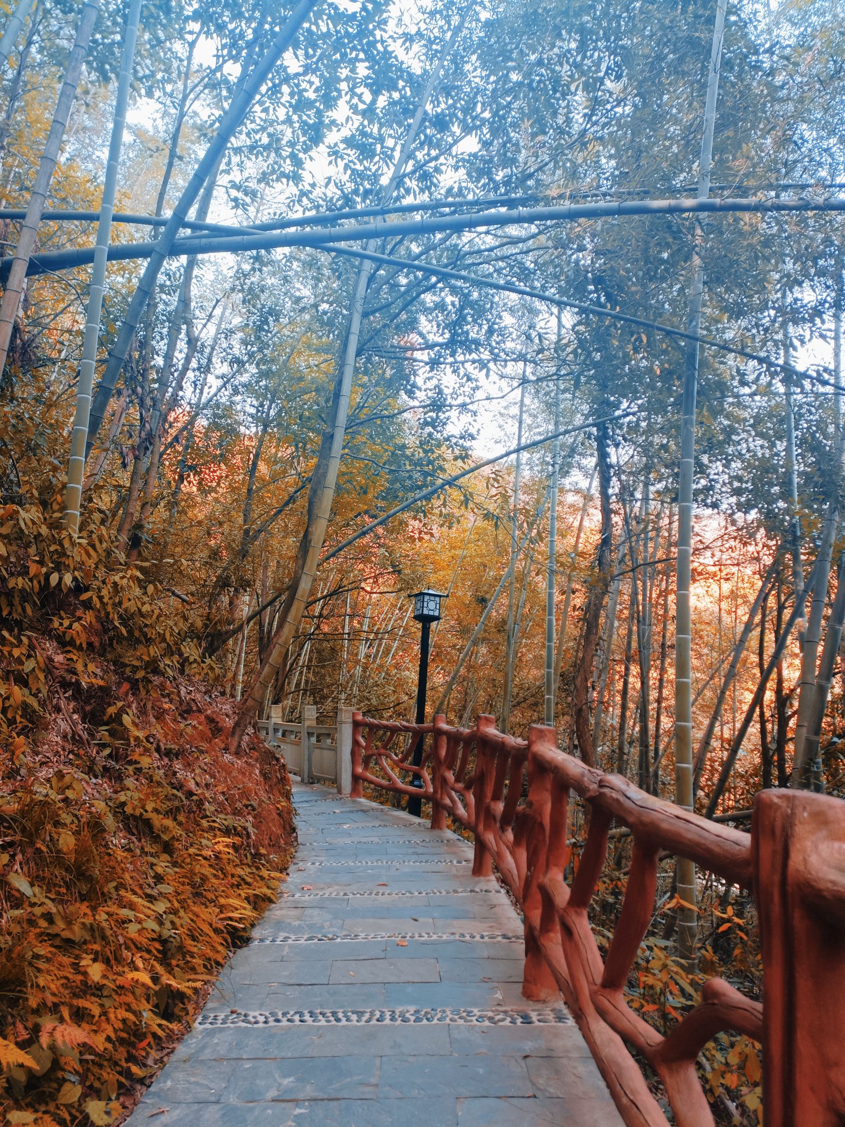 杨岐普通寺旅行图片 1