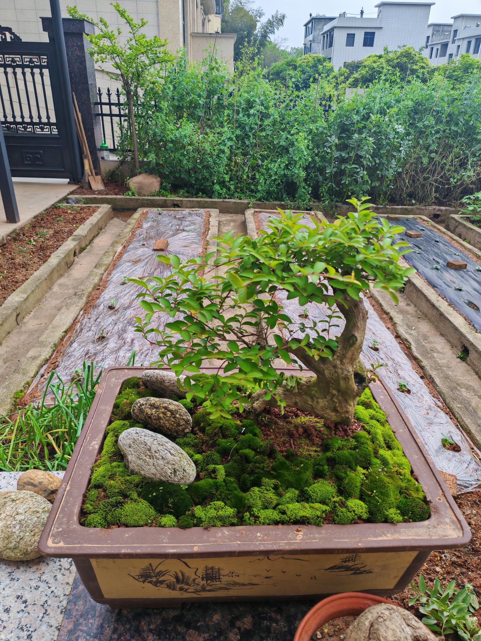 萍乡市第六中学
