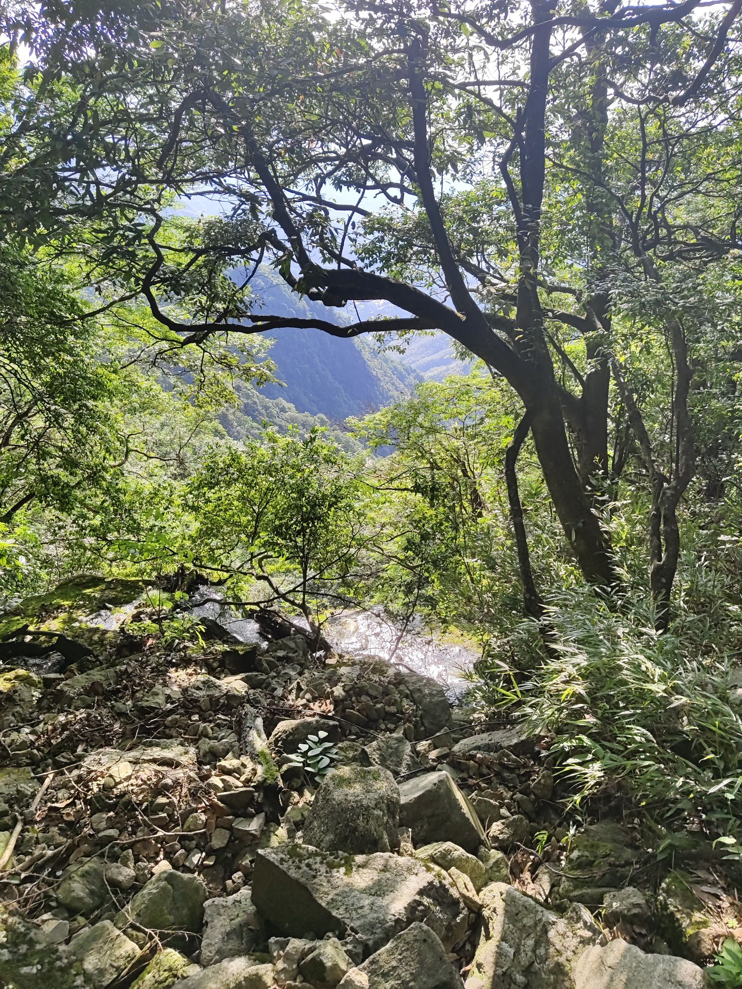 萍乡武功山国家级风景名胜区旅行图片 3