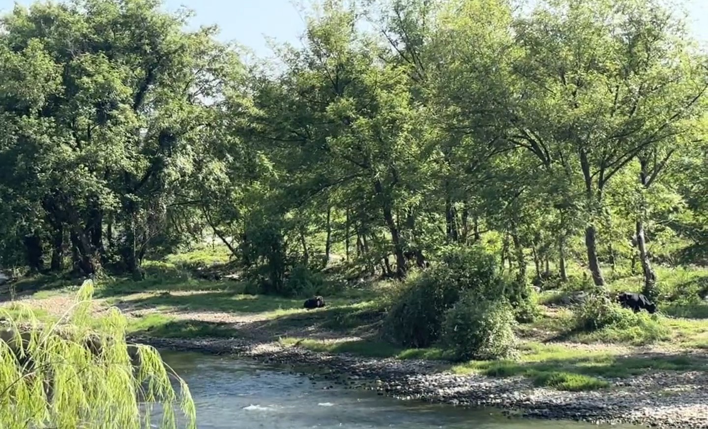 莲花县莲花广场旅行图片 2