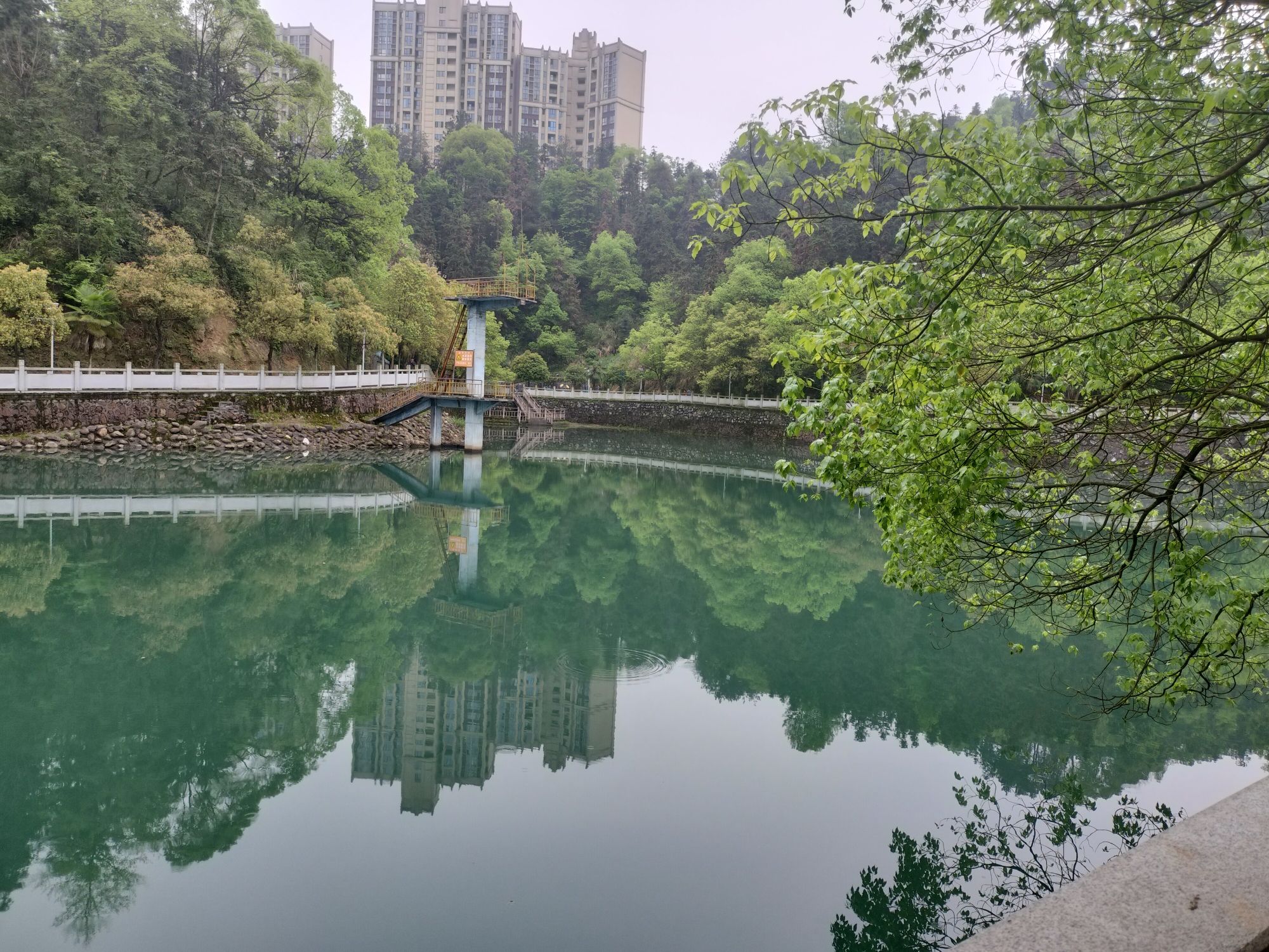 横龙公园旅行图片 2
