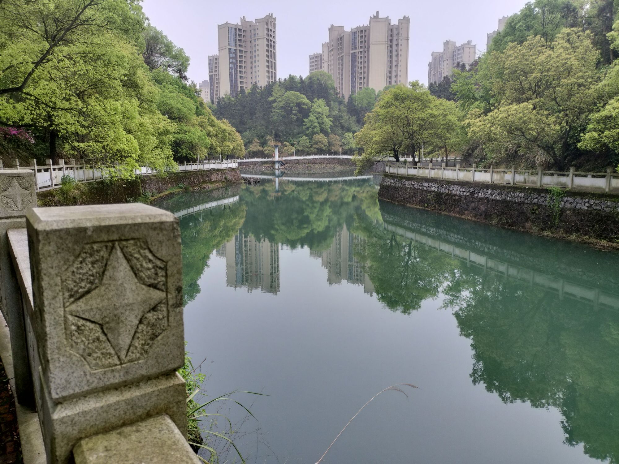 横龙公园旅行图片 3