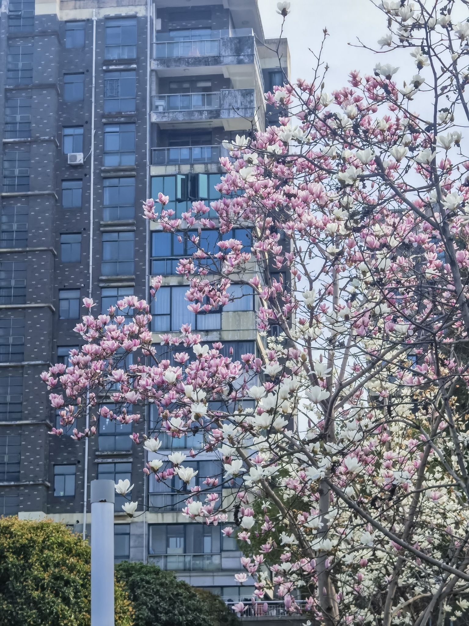 玉湖湿地公园旅行图片 3