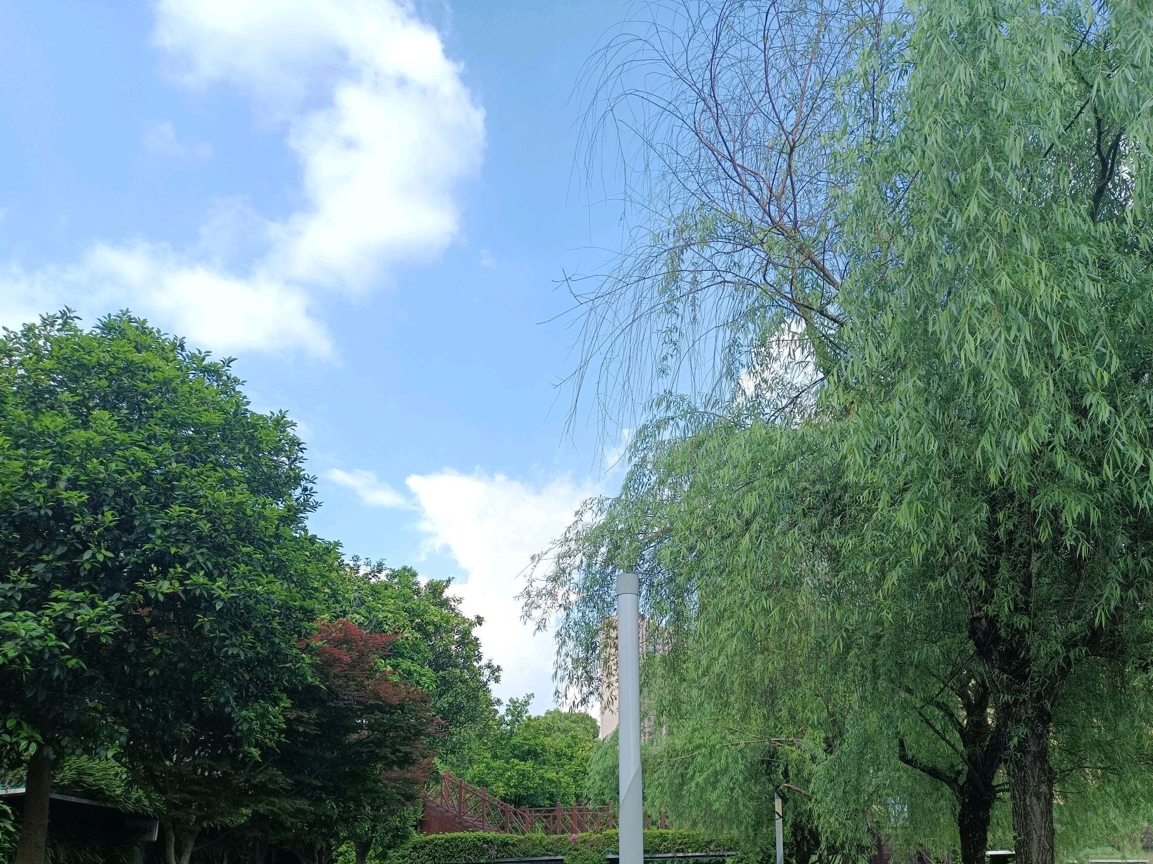 玉湖湿地公园旅行图片 2