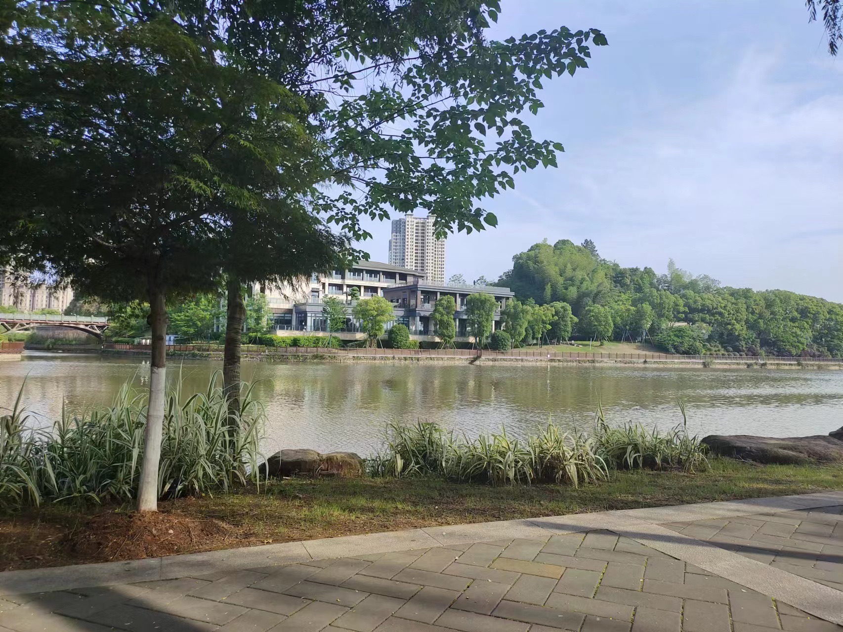 玉湖湿地公园旅行图片 2