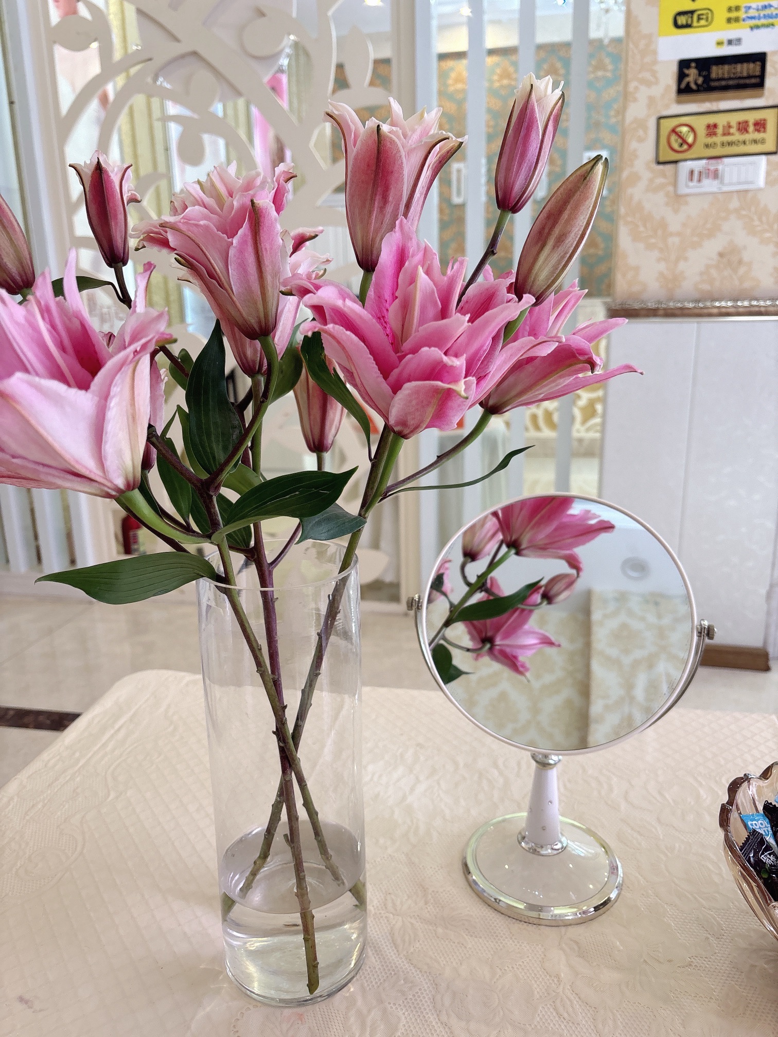 唯娜偲胸部养护中心(绿洲花园店)