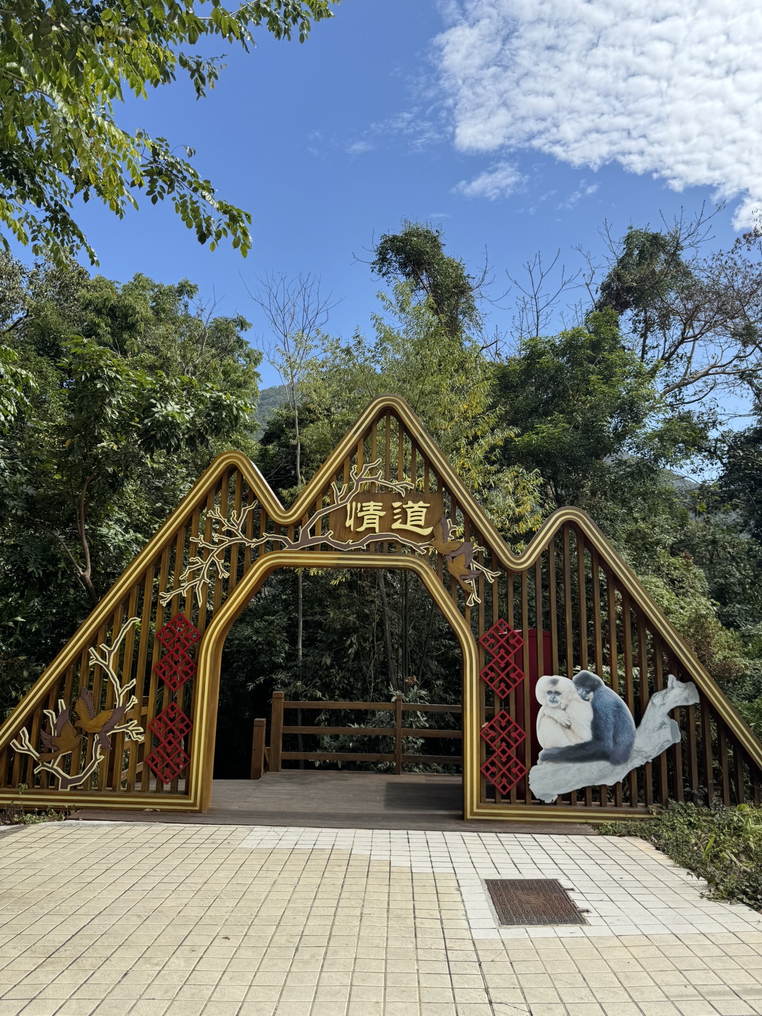 霸王岭国家森林公园