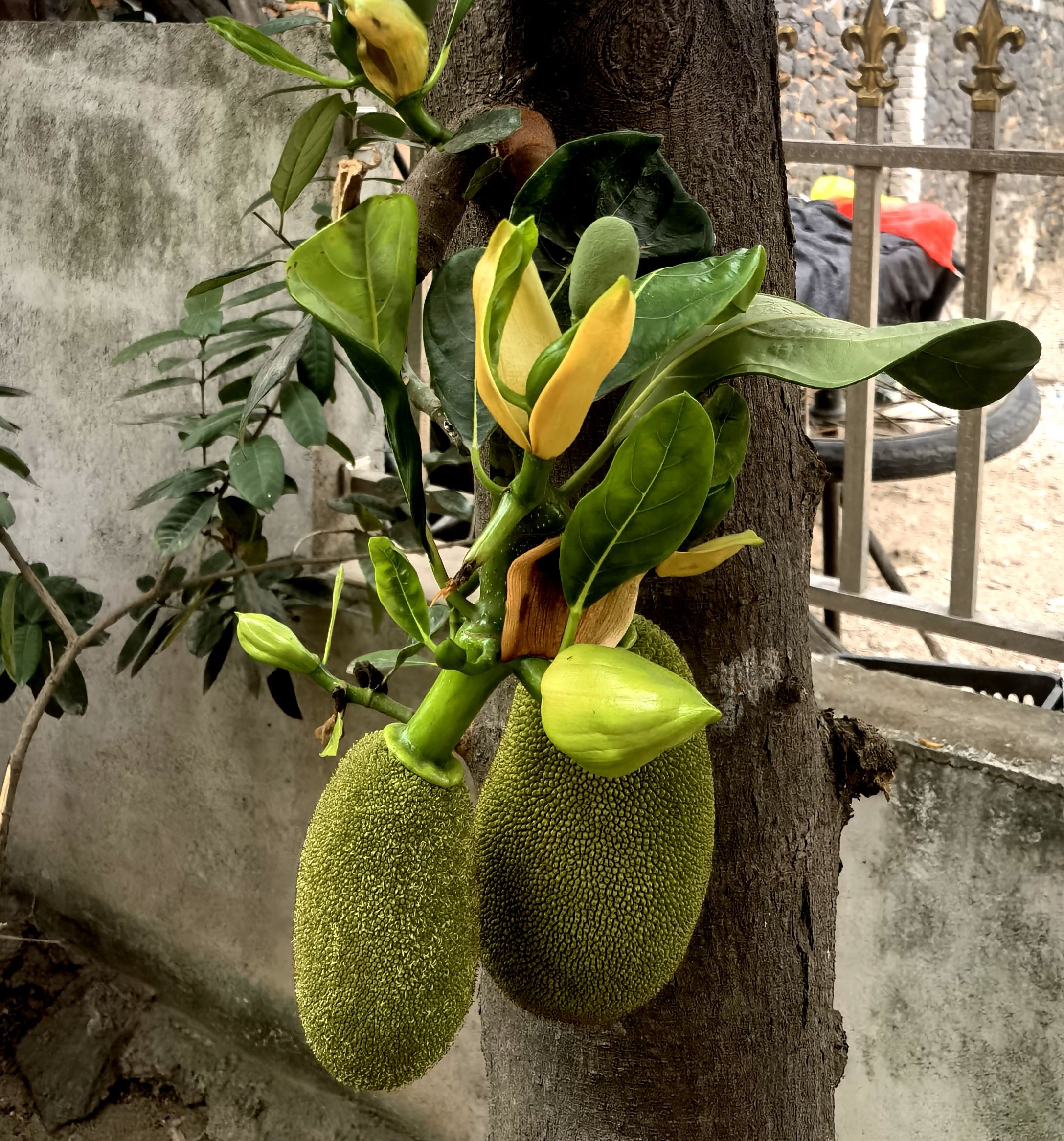 永发果菜批发市场