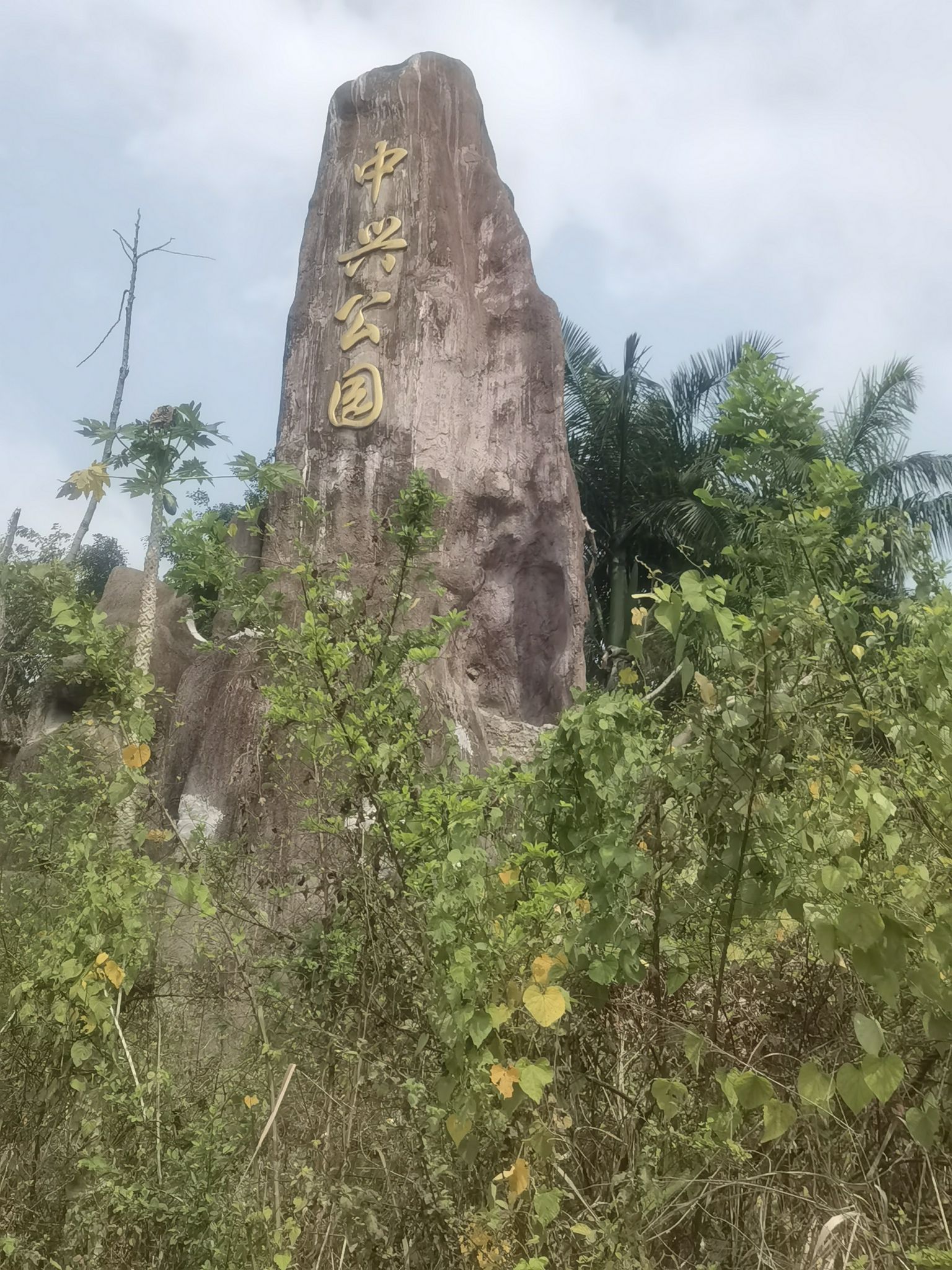 中兴公园