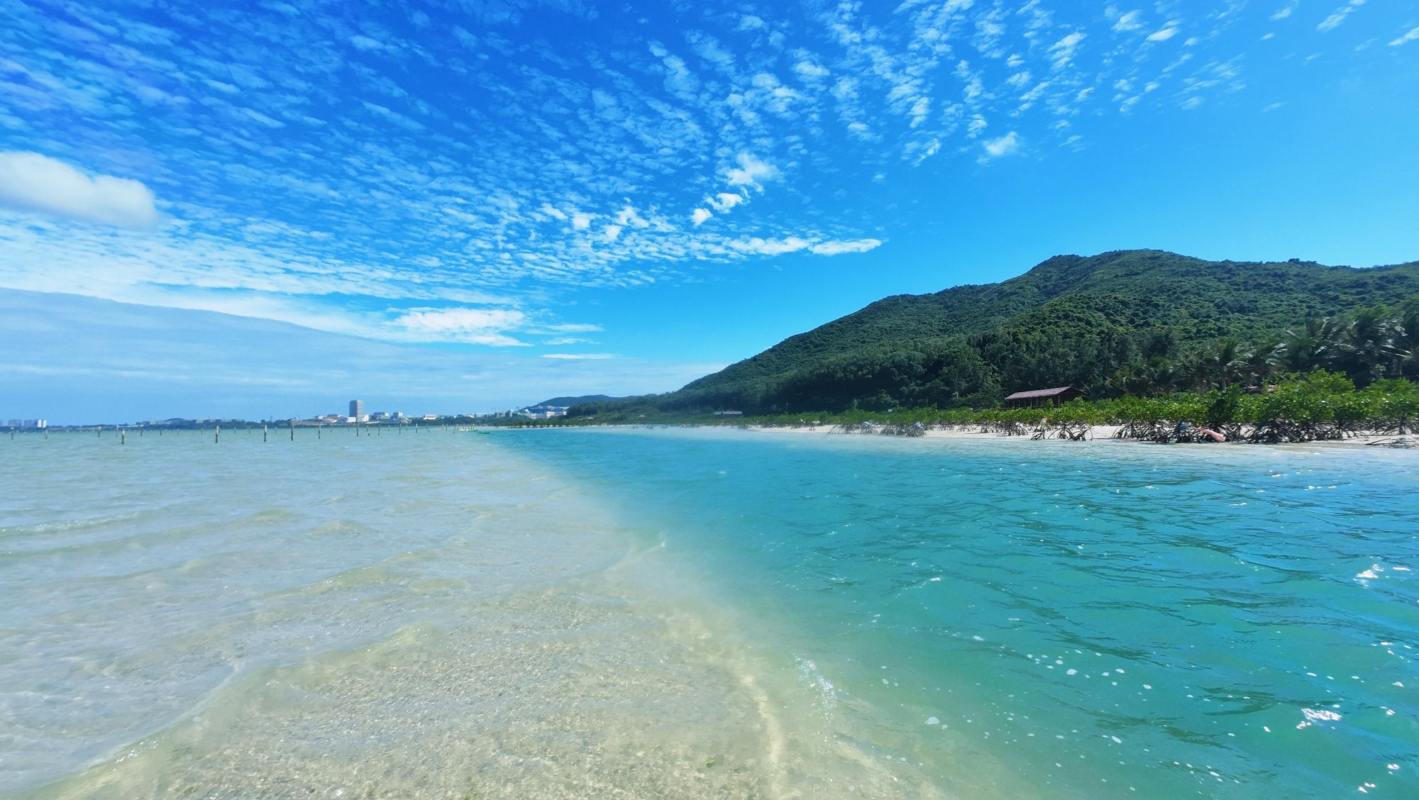 海南南湾省级自然保护区