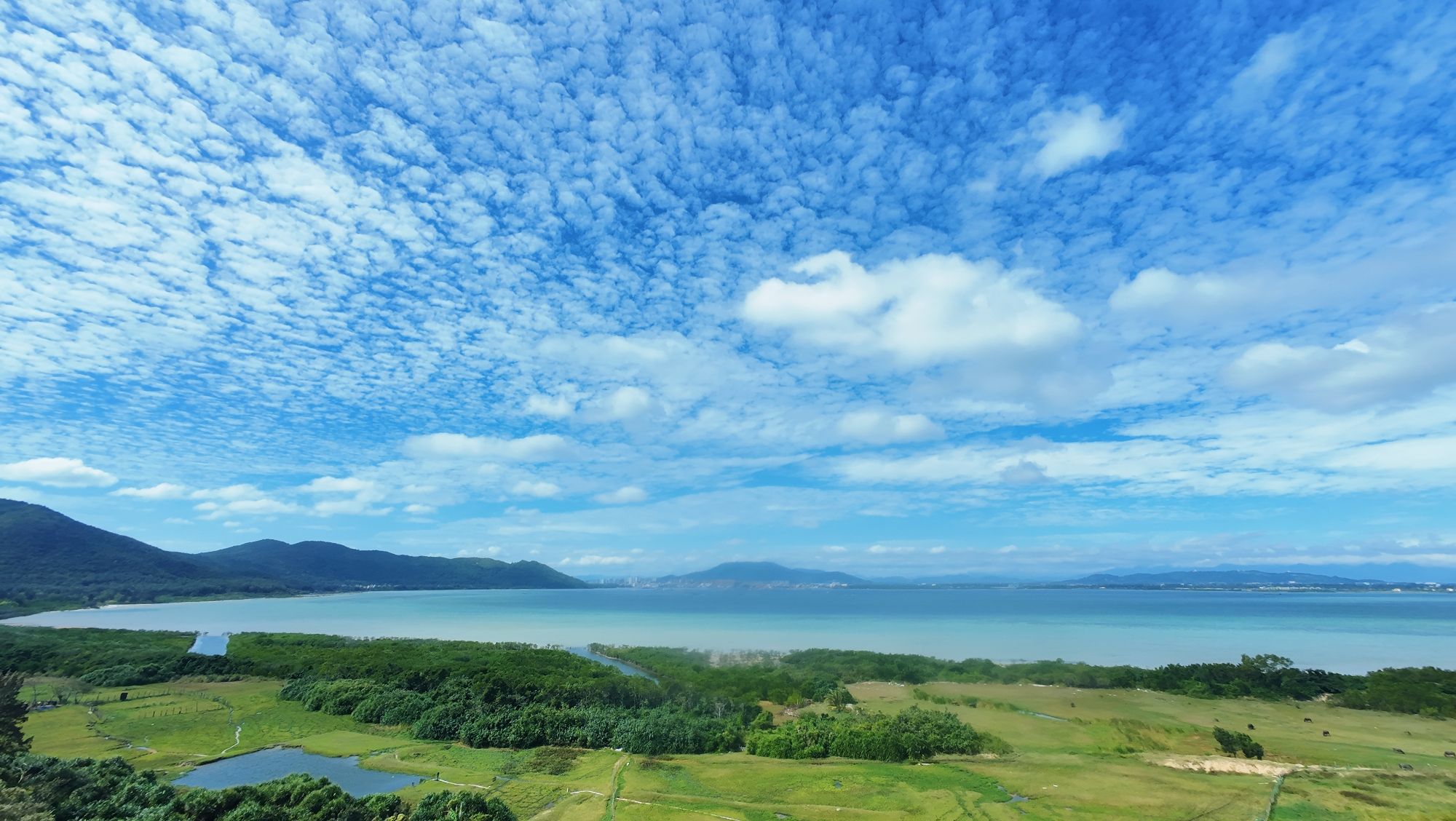 海南南湾省级自然保护区