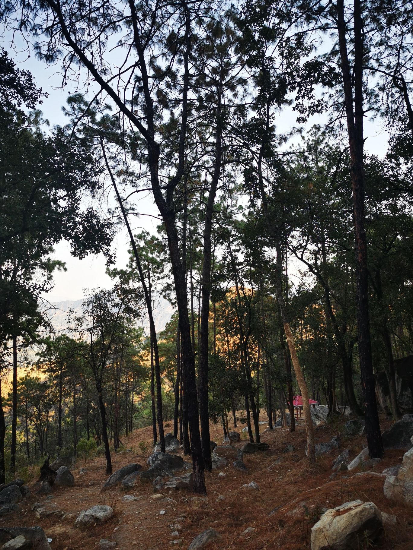 岩神山风景区旅行图片 3