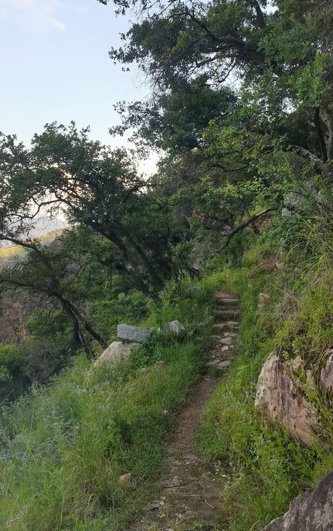 岩神山风景区旅行图片 1