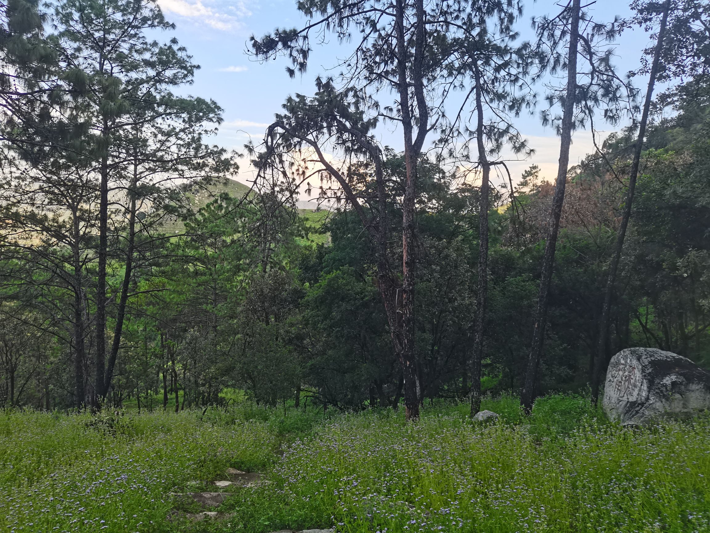 岩神山风景区旅行图片 3