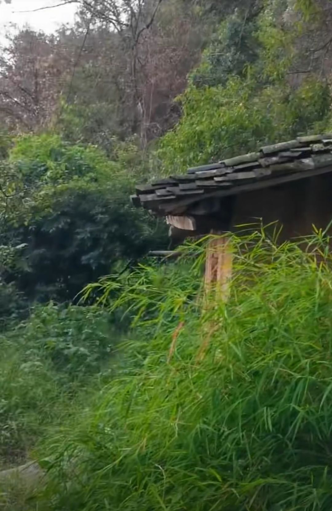 岩神山风景区旅行图片 2