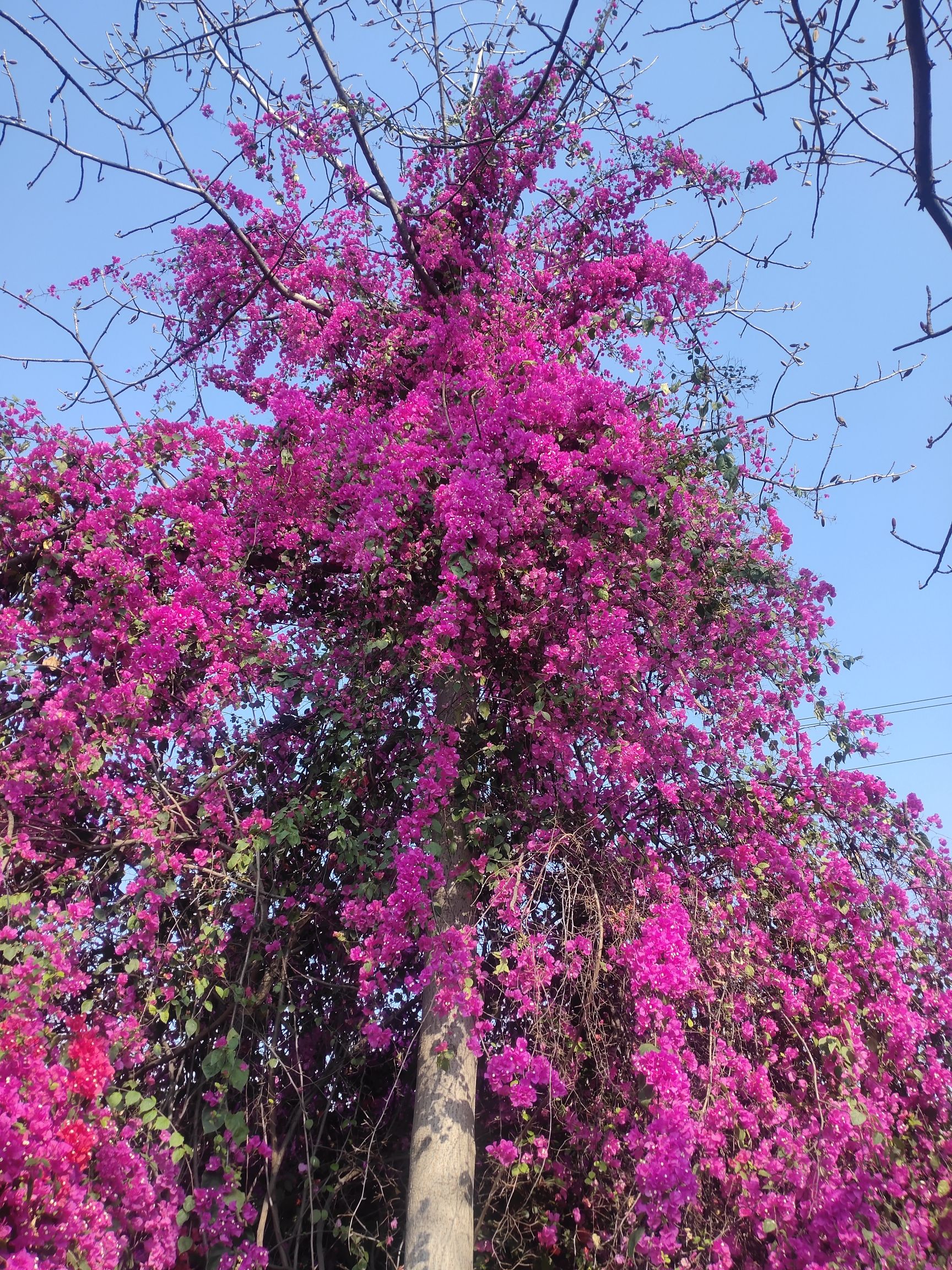 河门口公园旅行图片 1