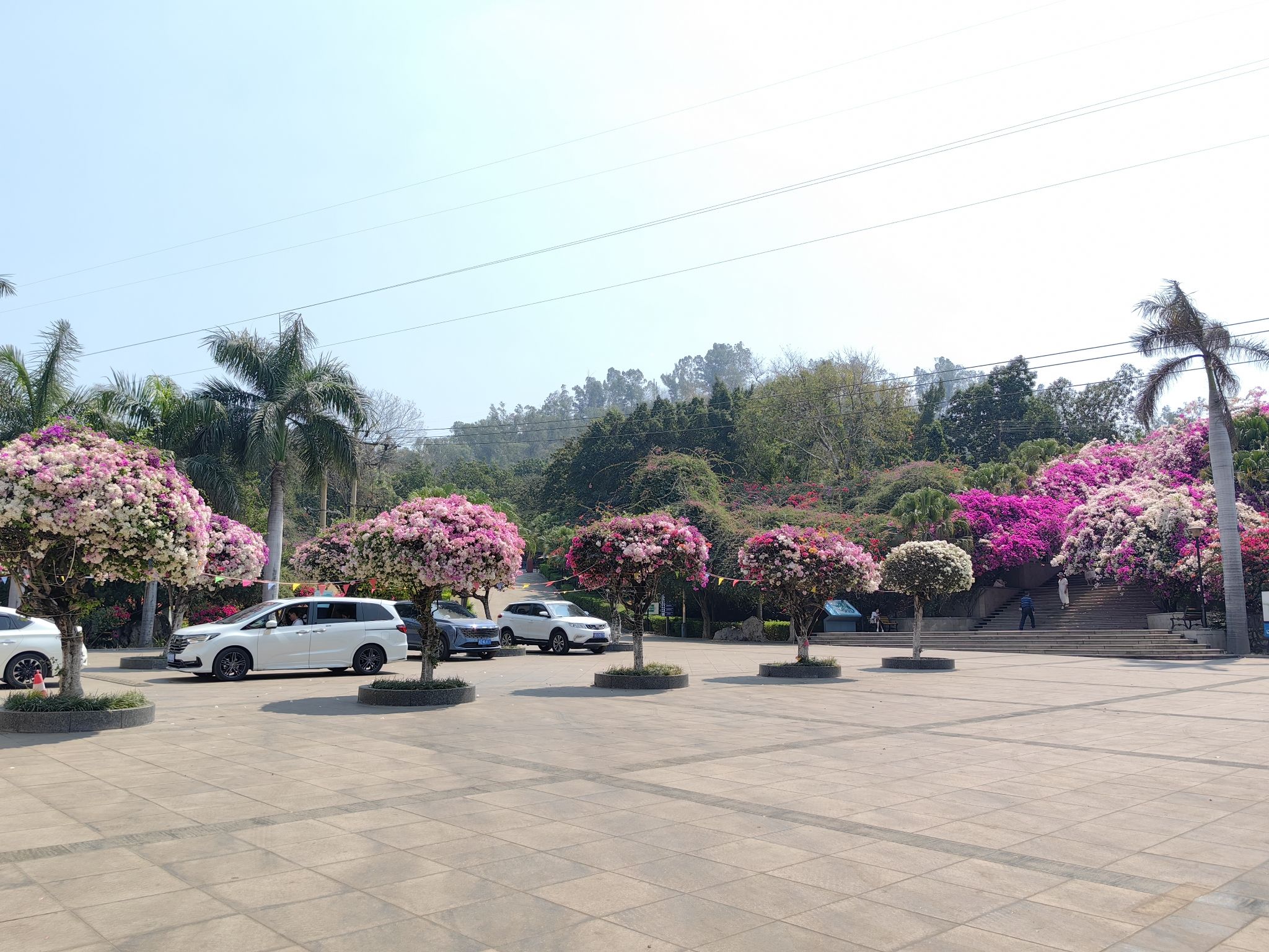 河门口公园旅行图片 1