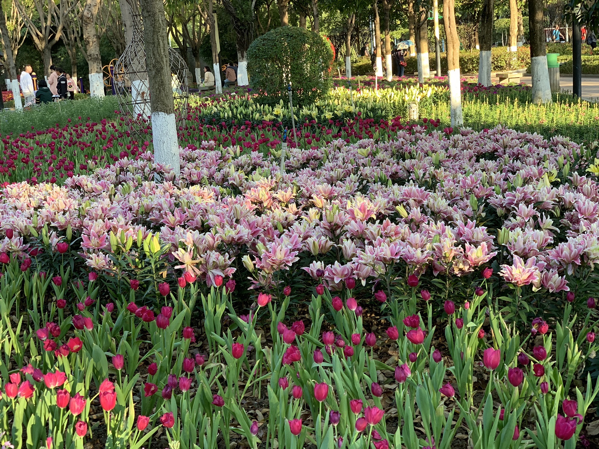 河滨公园旅行图片 1