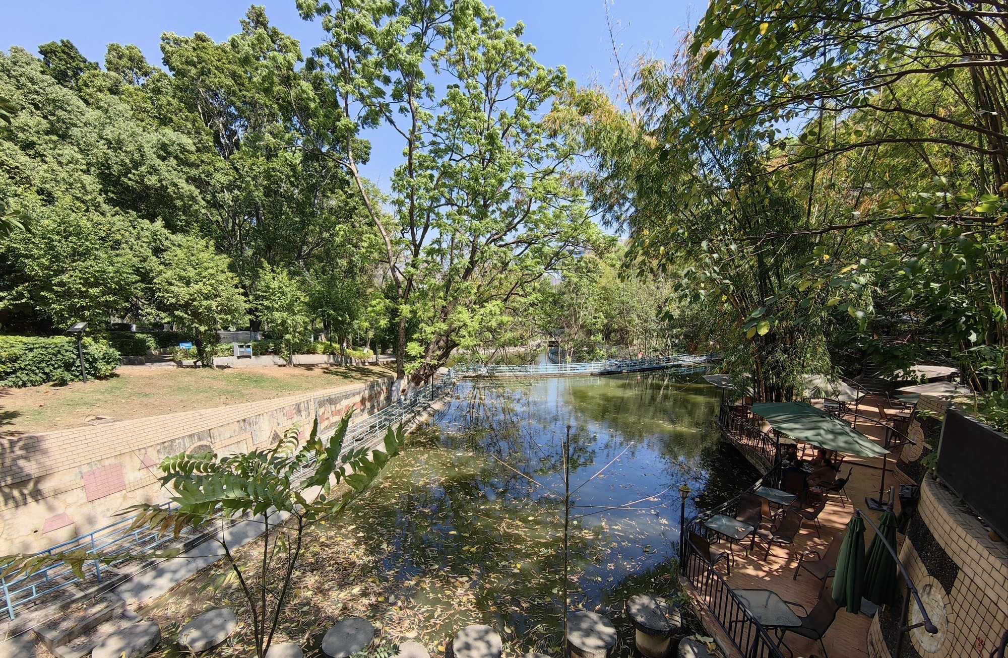 竹湖园公园旅行图片 3