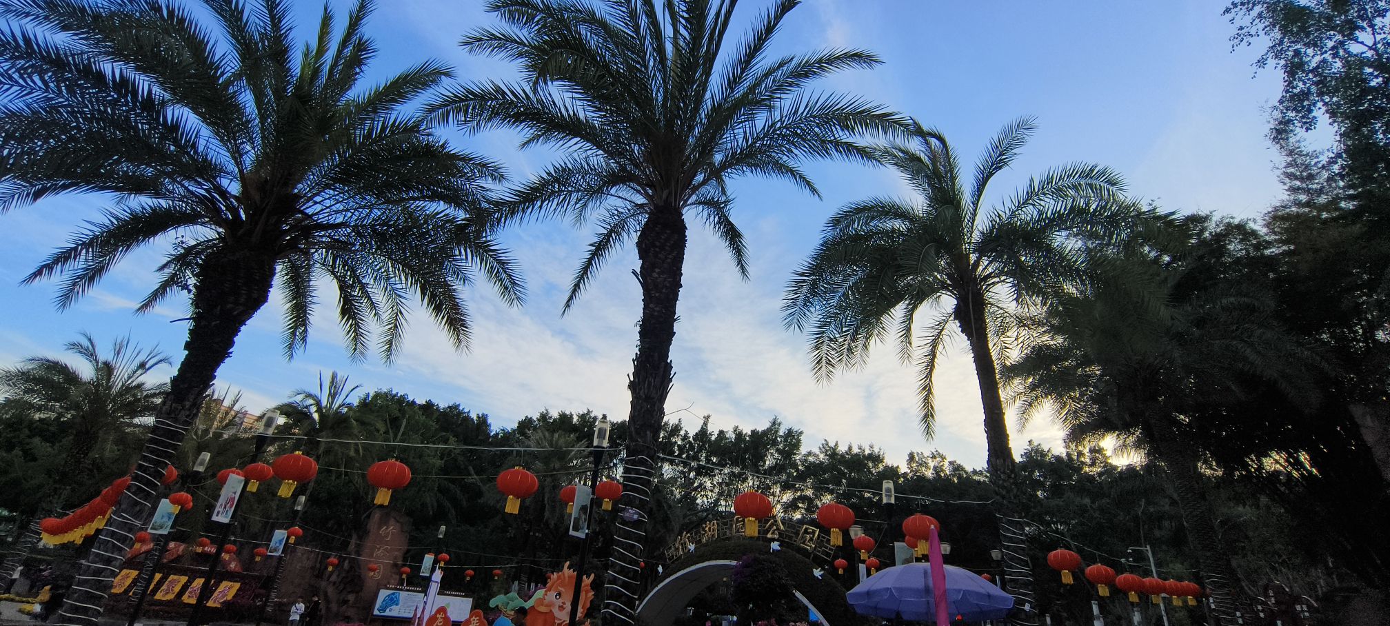 竹湖园公园旅行图片 3