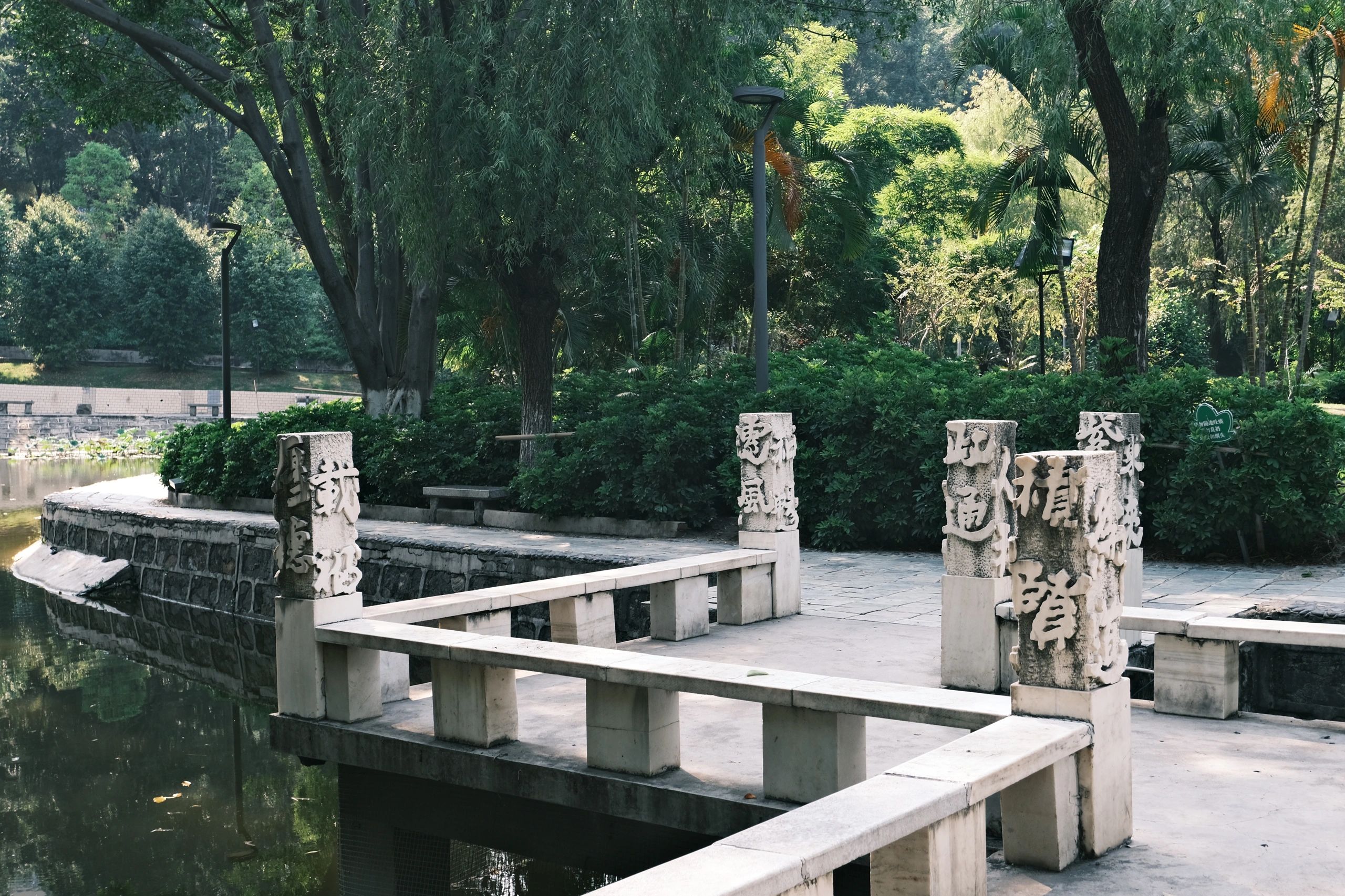 竹湖园公园旅行图片