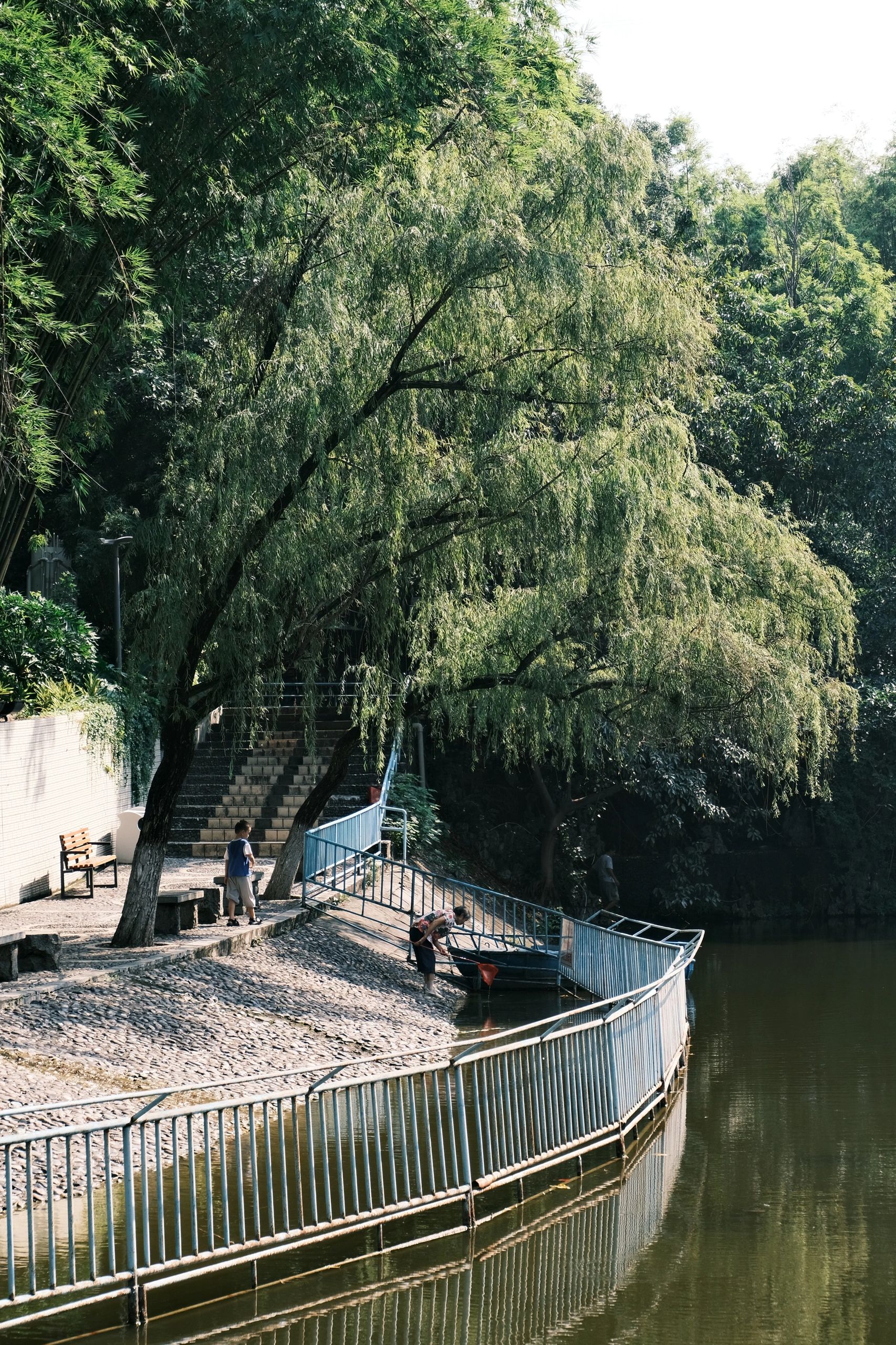 竹湖园公园旅行图片 2