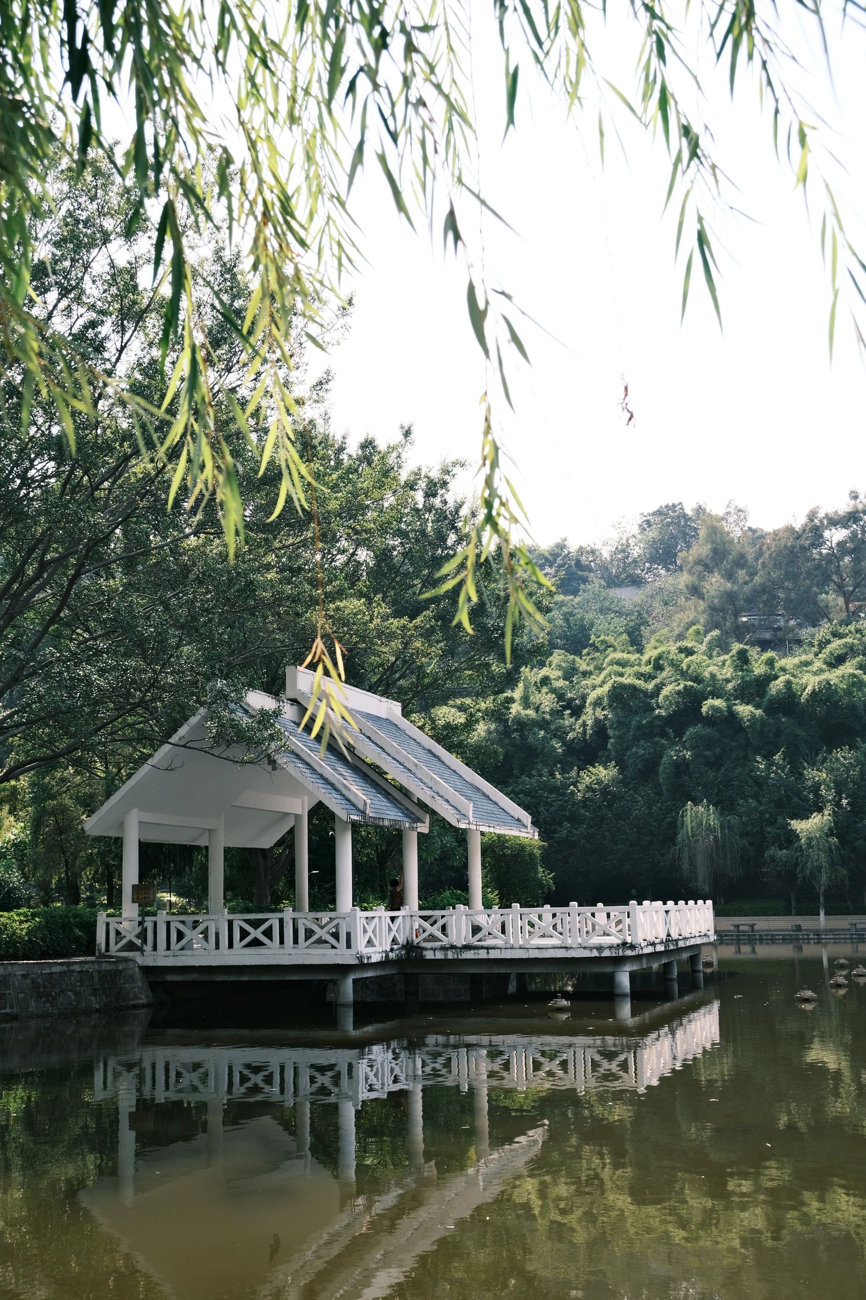 竹湖园公园旅行图片 3