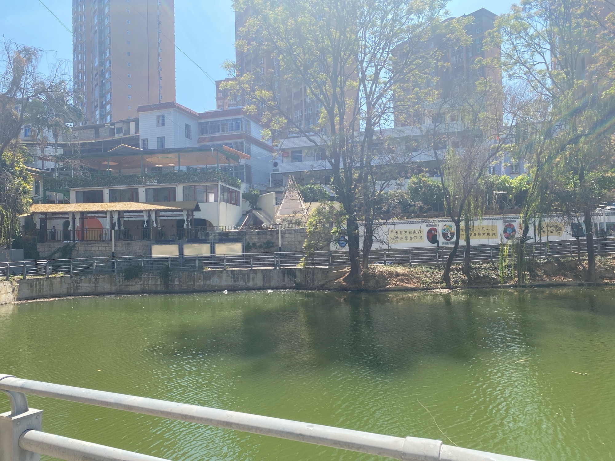 月潭公园旅行图片 2