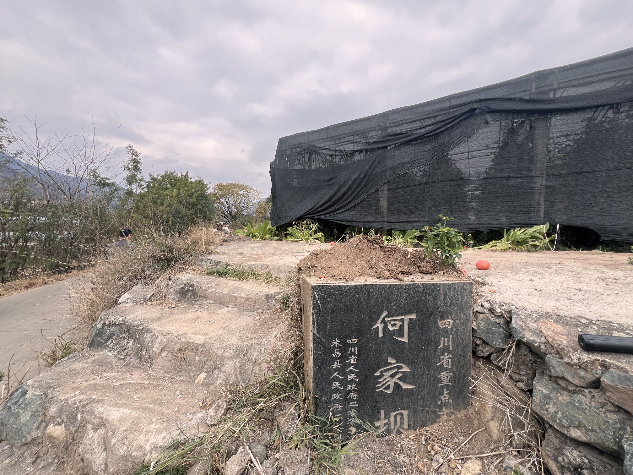 何家坝史前遗址旅行图片 2