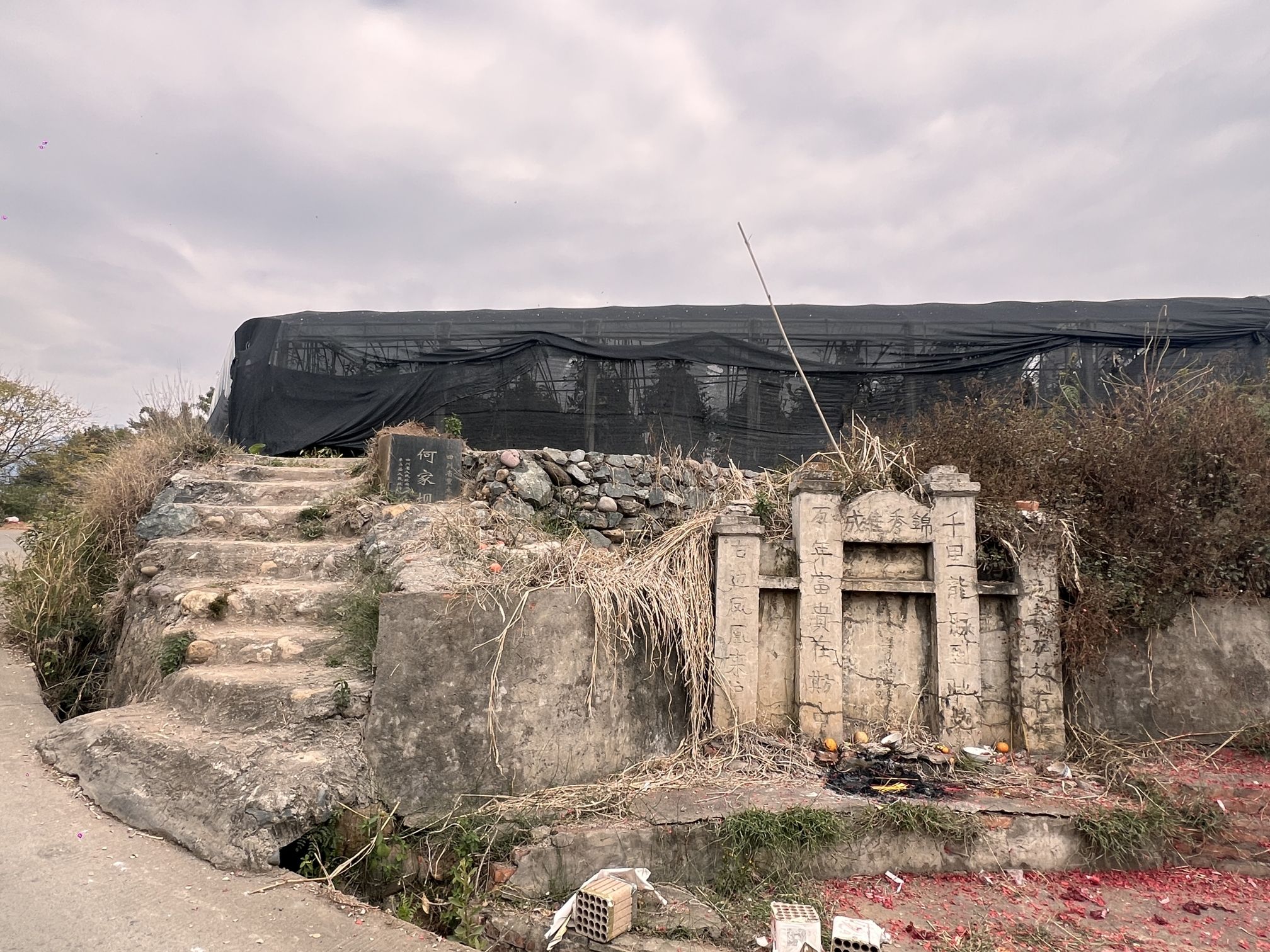 何家坝史前遗址旅行图片 3