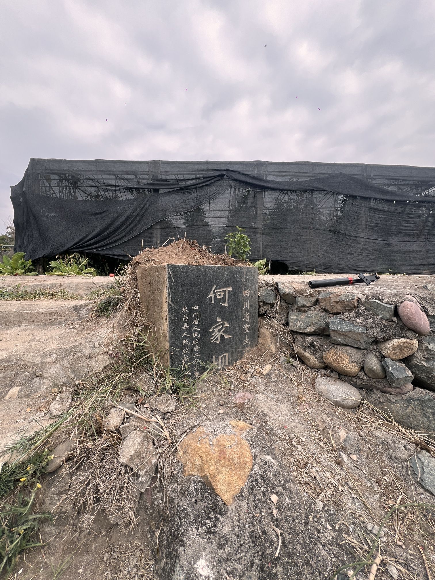 何家坝史前遗址旅行图片 1