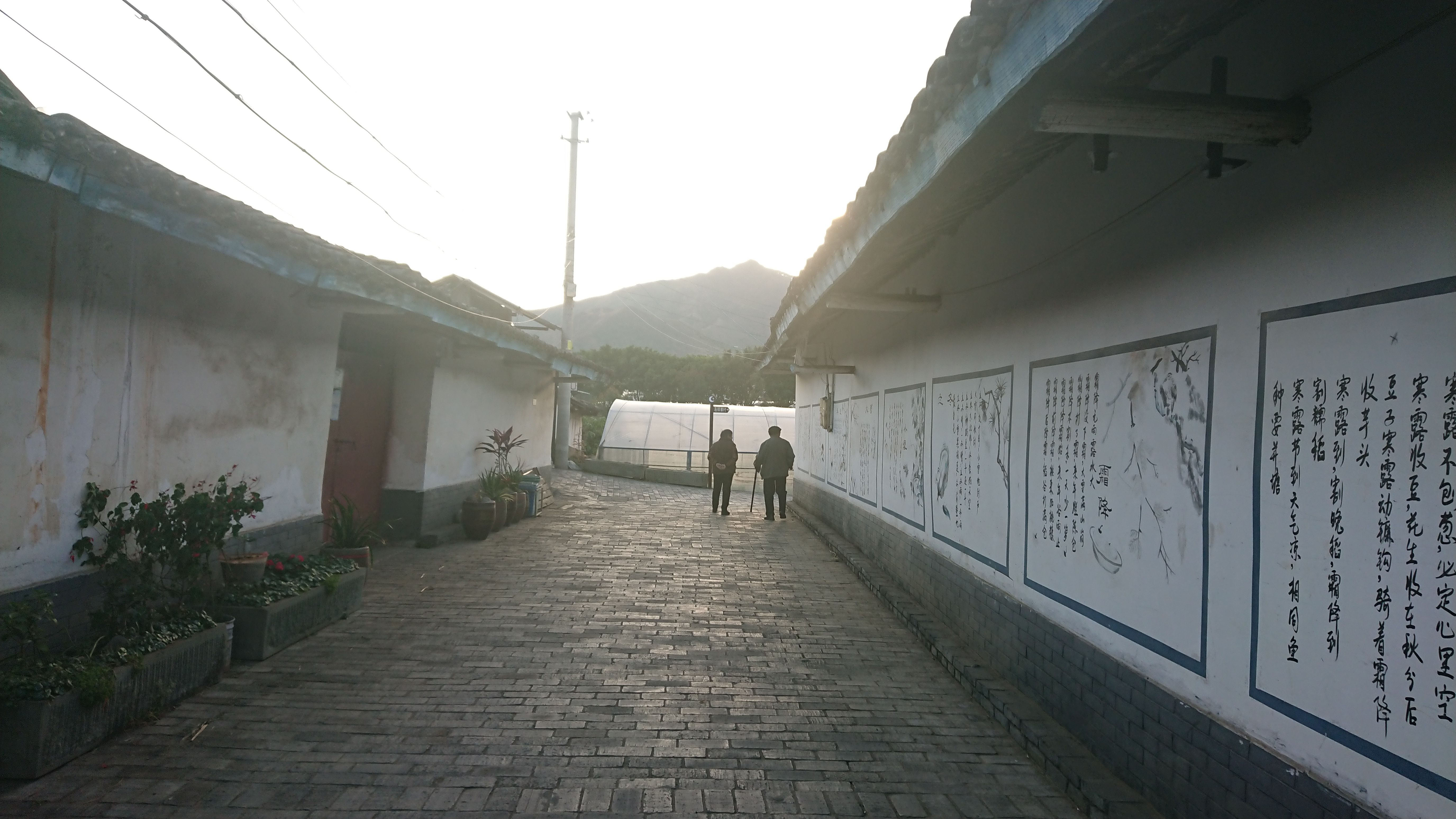 何家坝史前遗址旅行图片 3